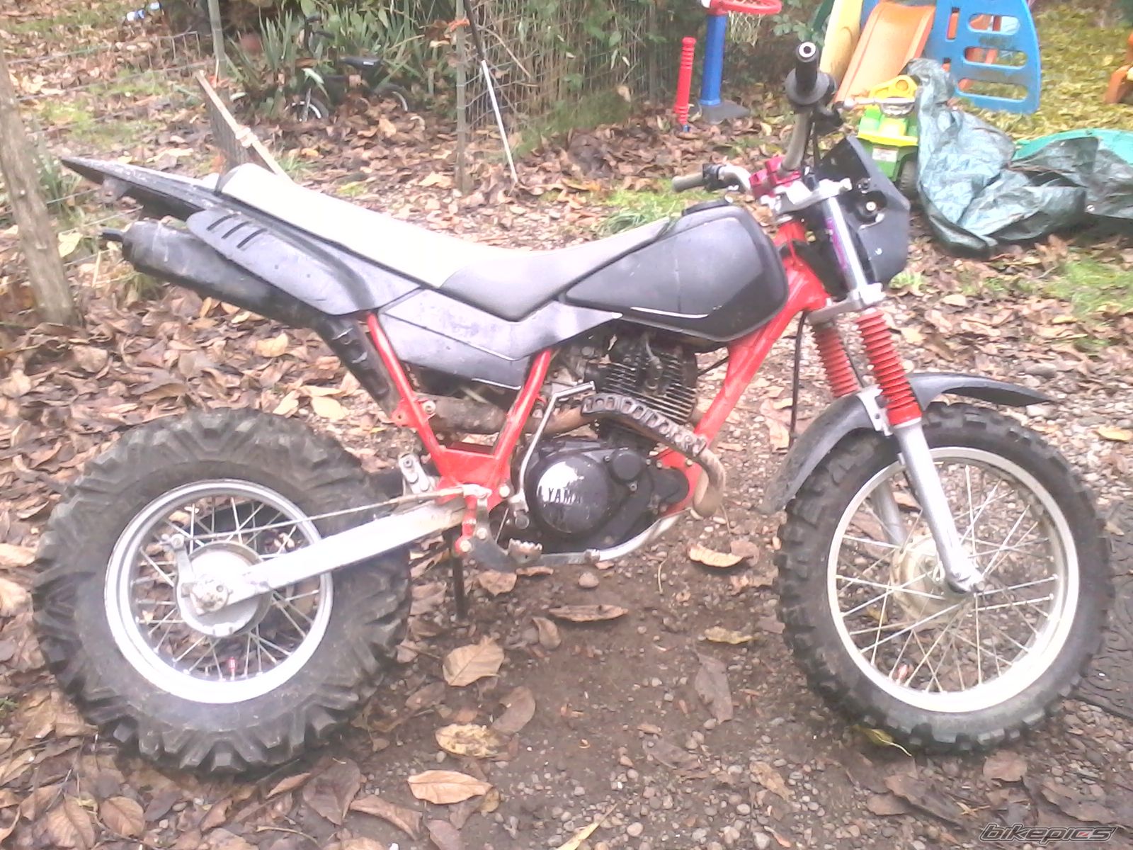 Photo 2318293