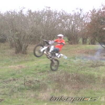Photo 2318297