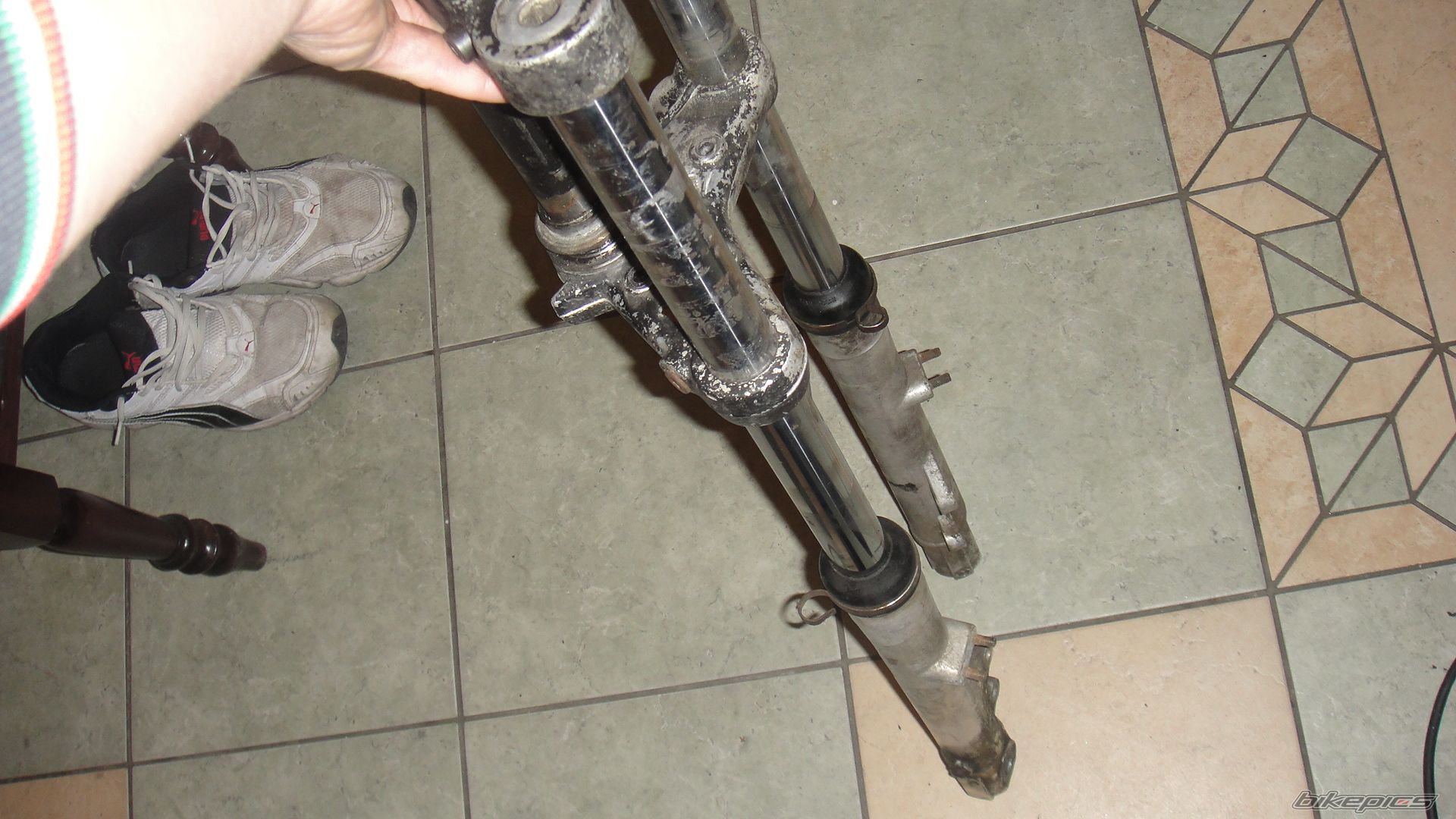 Photo 2318374