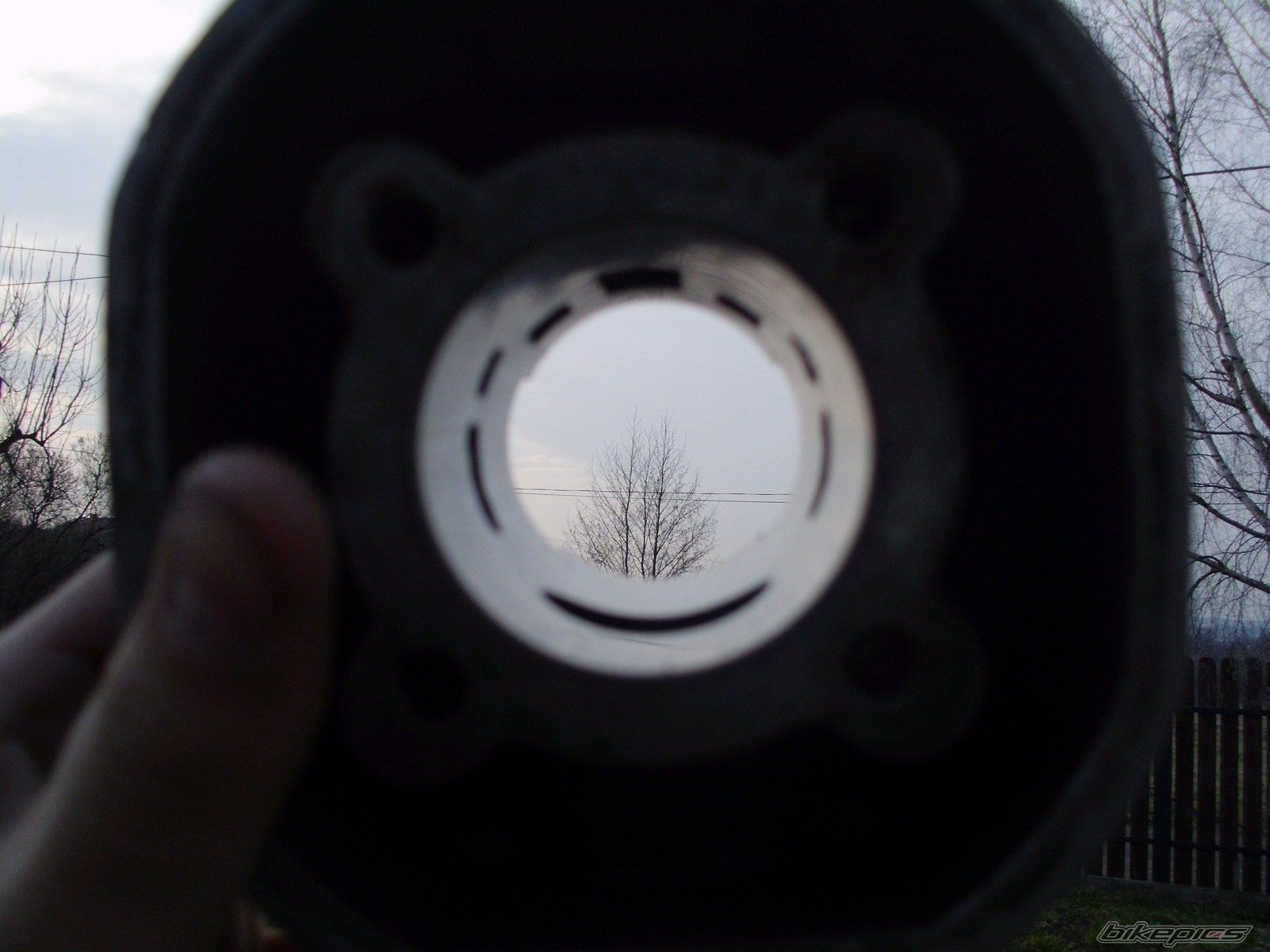 Photo 2318398