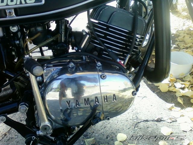 Bike Photo 2318595