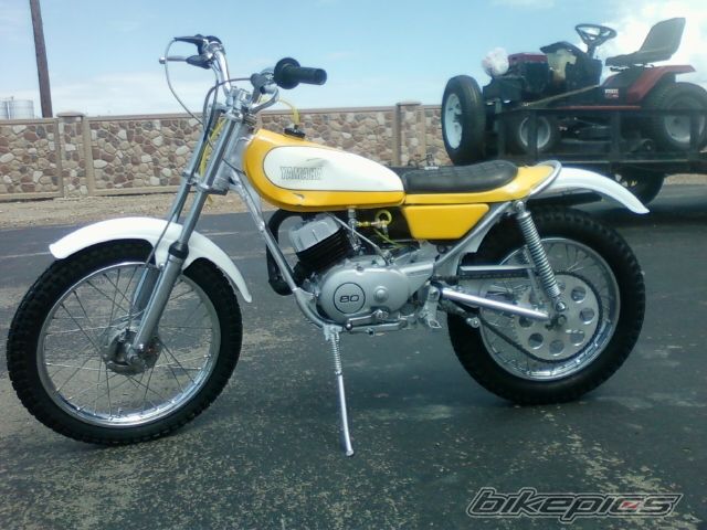 TY 80