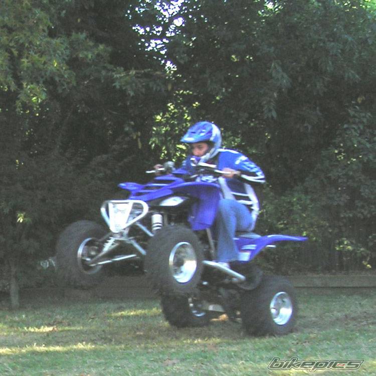 Photo 231864