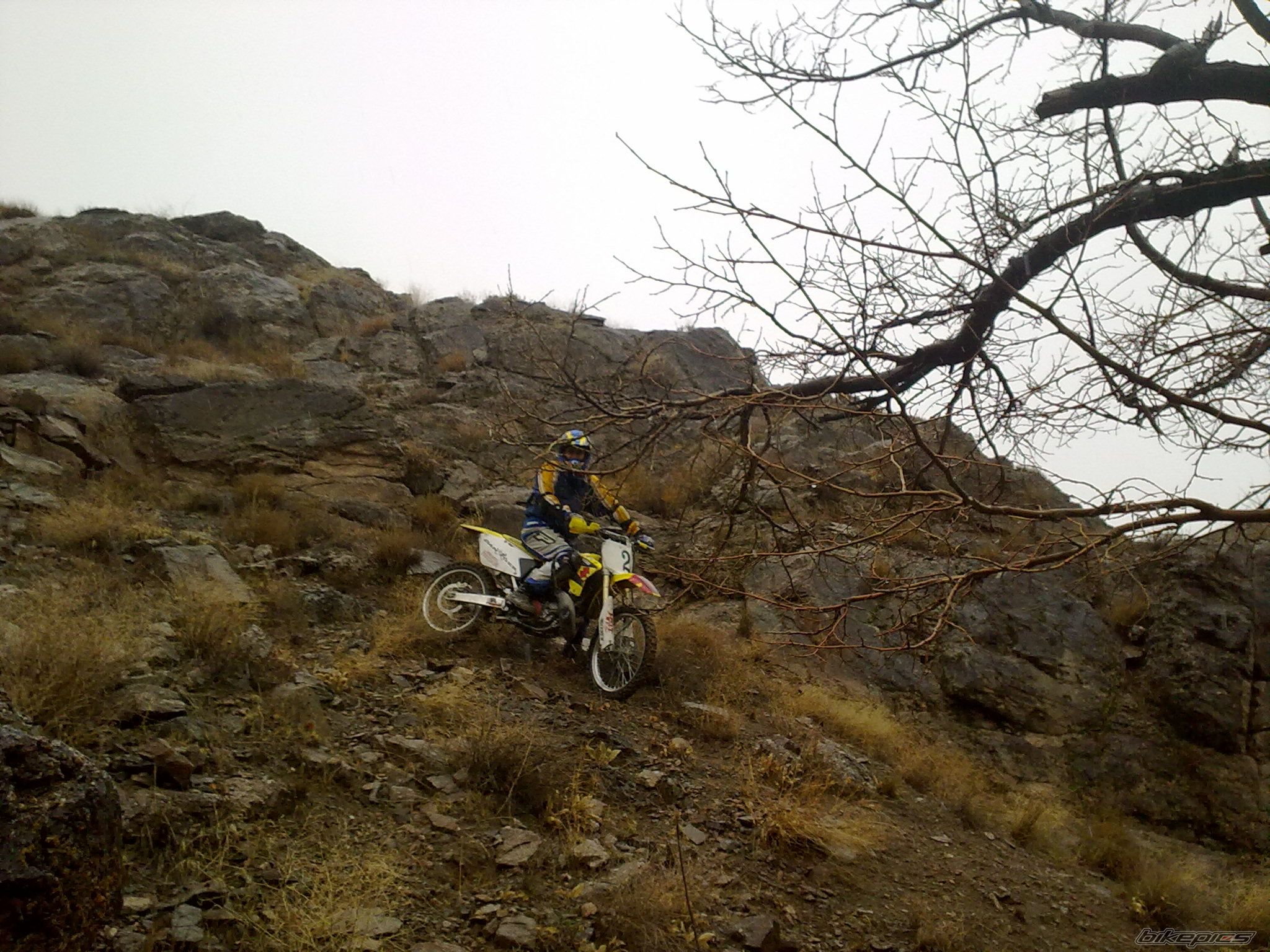 Photo 2318657