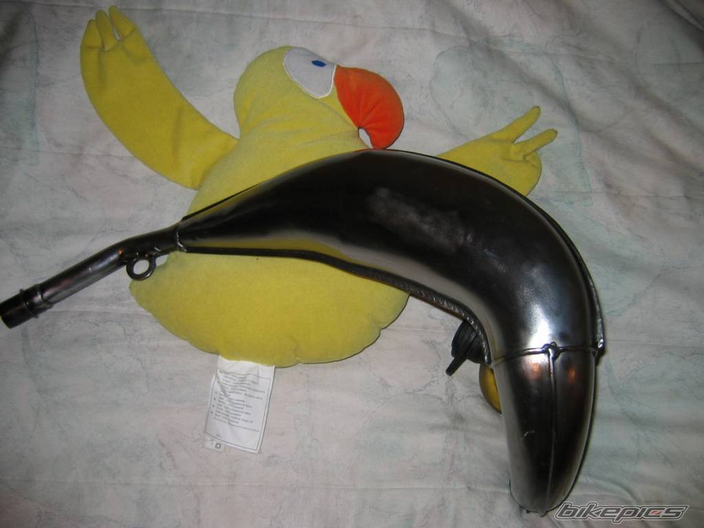 Photo 231867