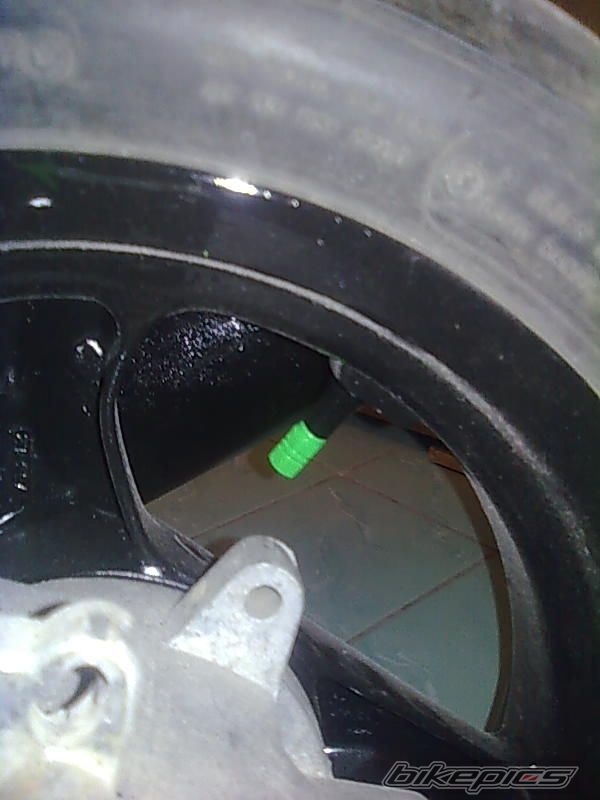Photo 2318686