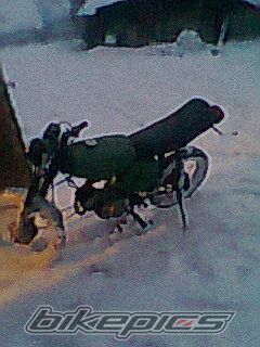 Photo 2318732