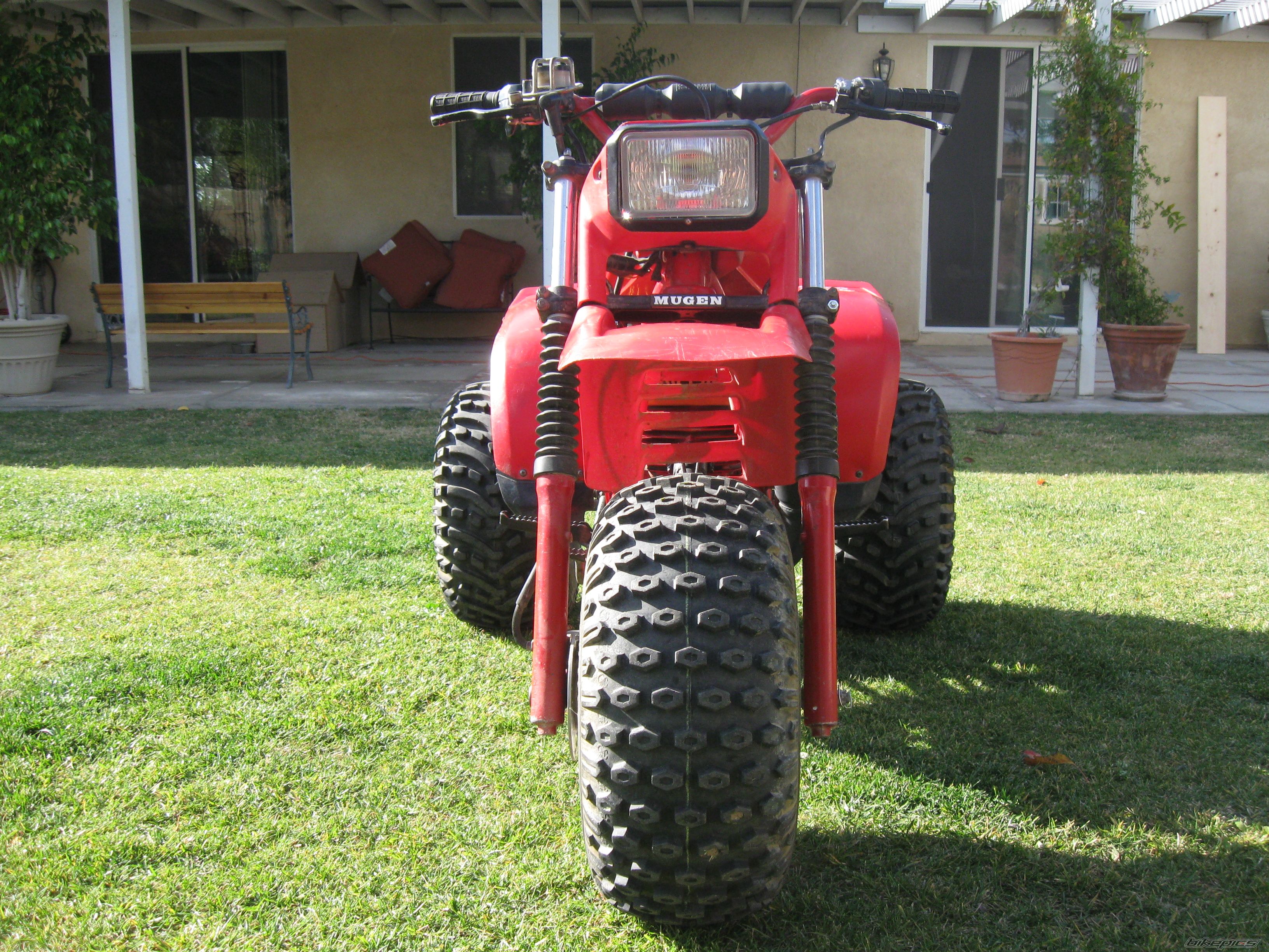 Photo 2318859