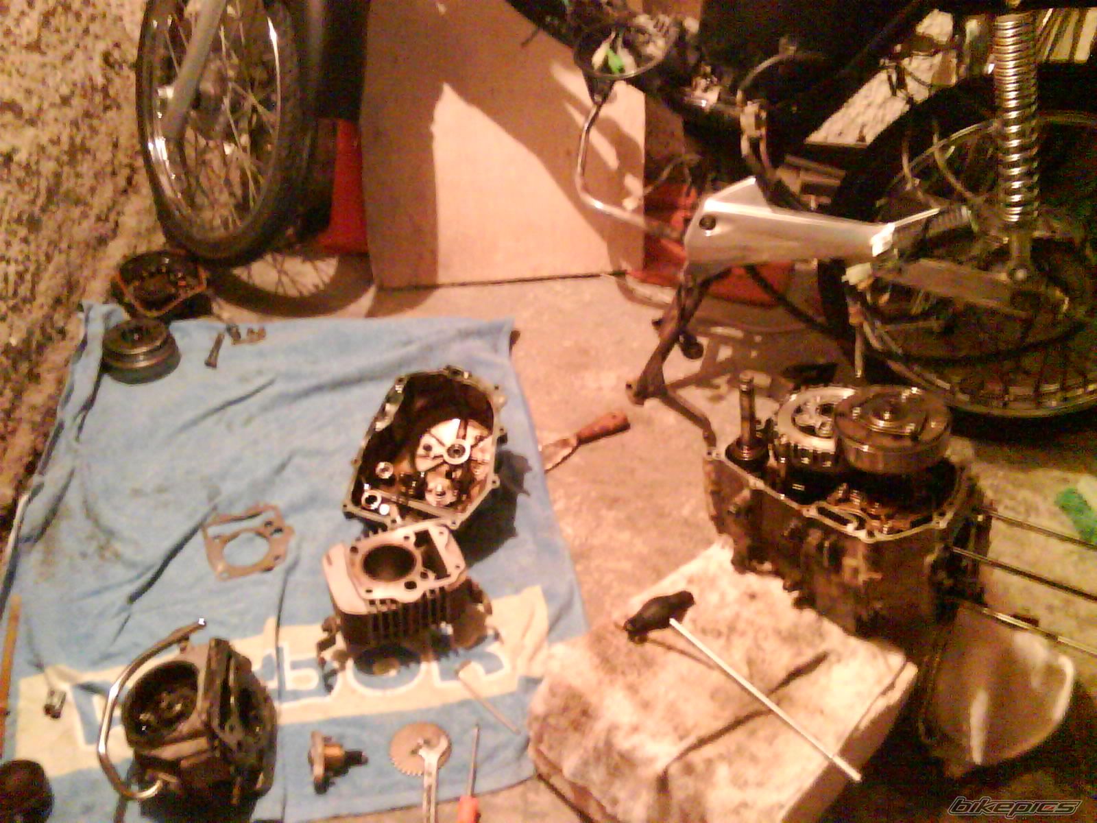 Photo 2318888