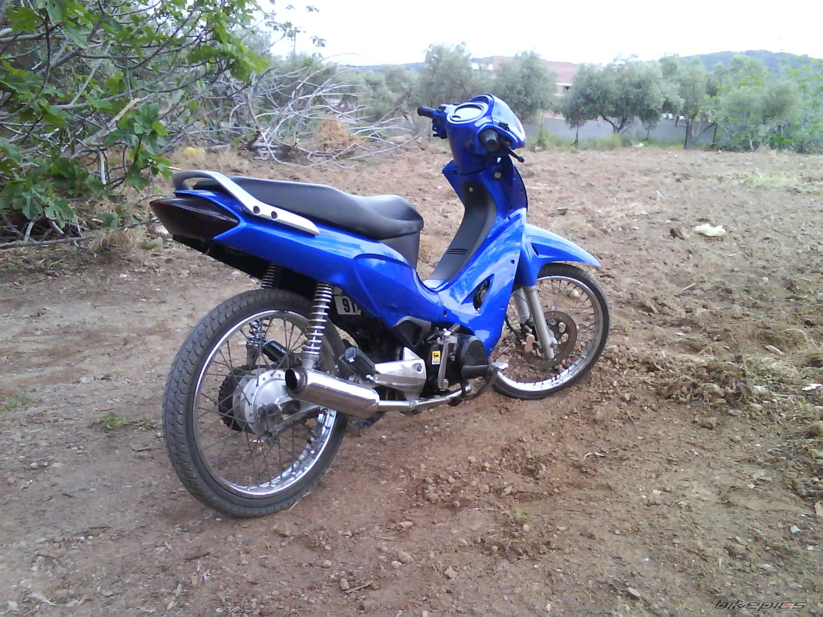 Photo 2318898