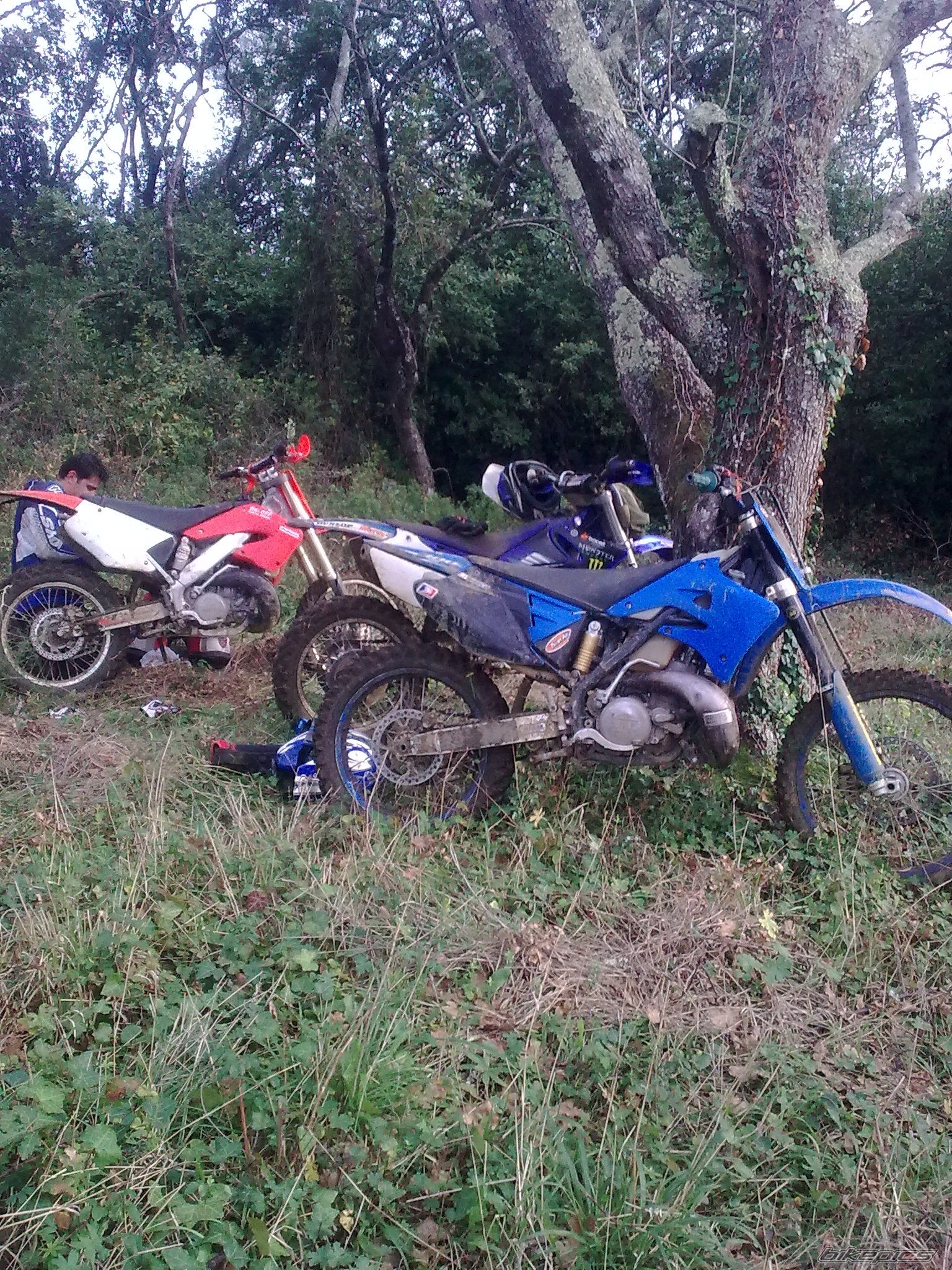 Photo 2318929