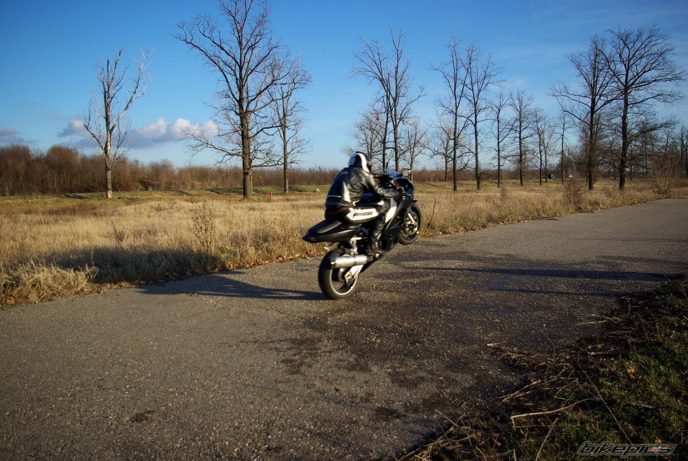 Photo 2318948