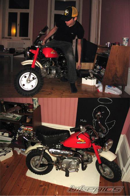 Bike Photo 231901