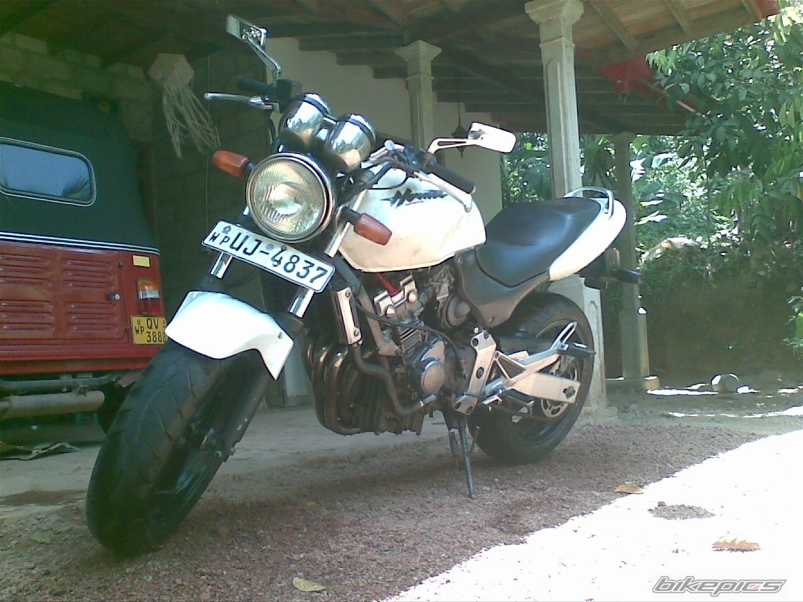 Photo 2319030