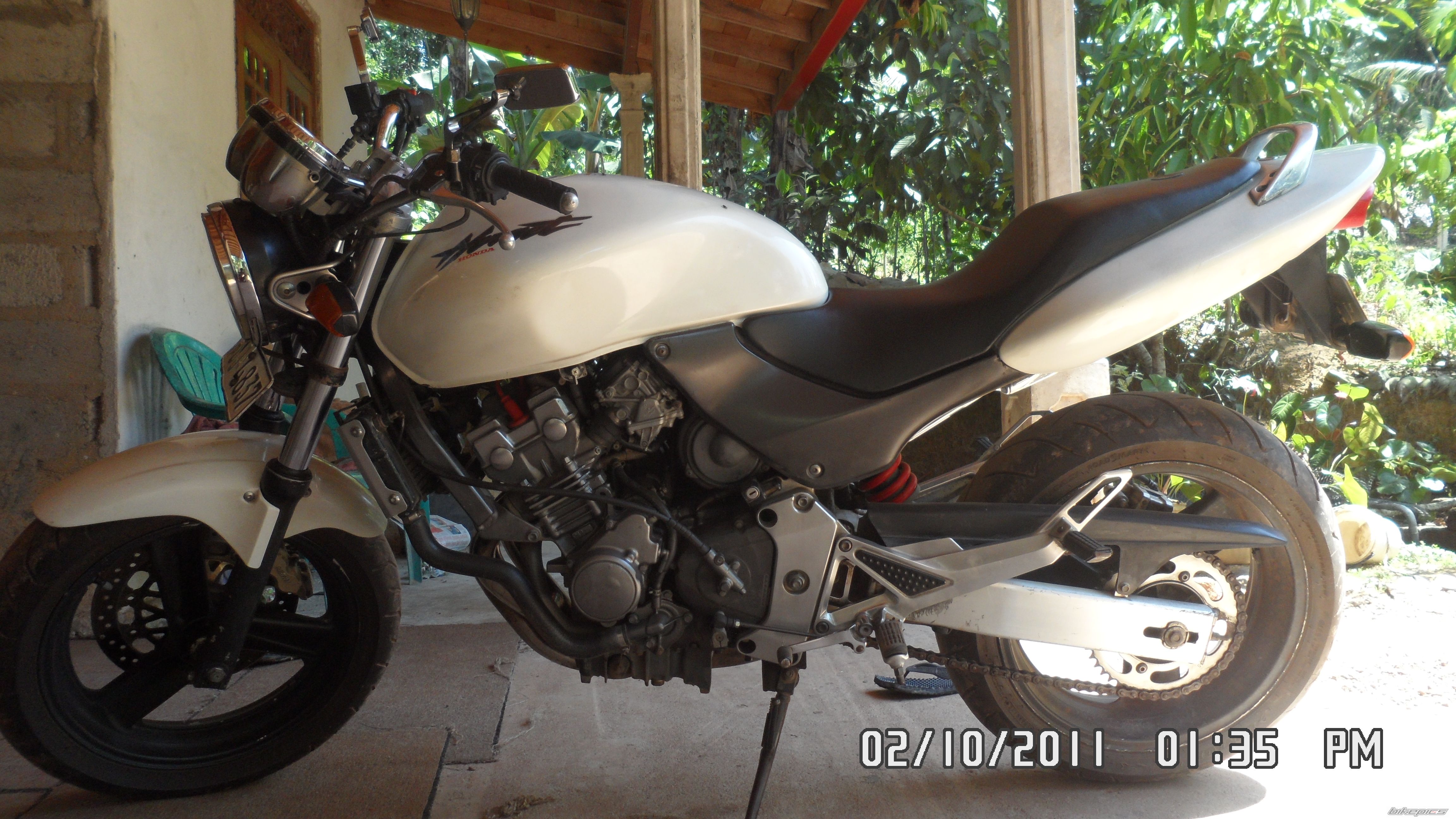 Photo 2319033