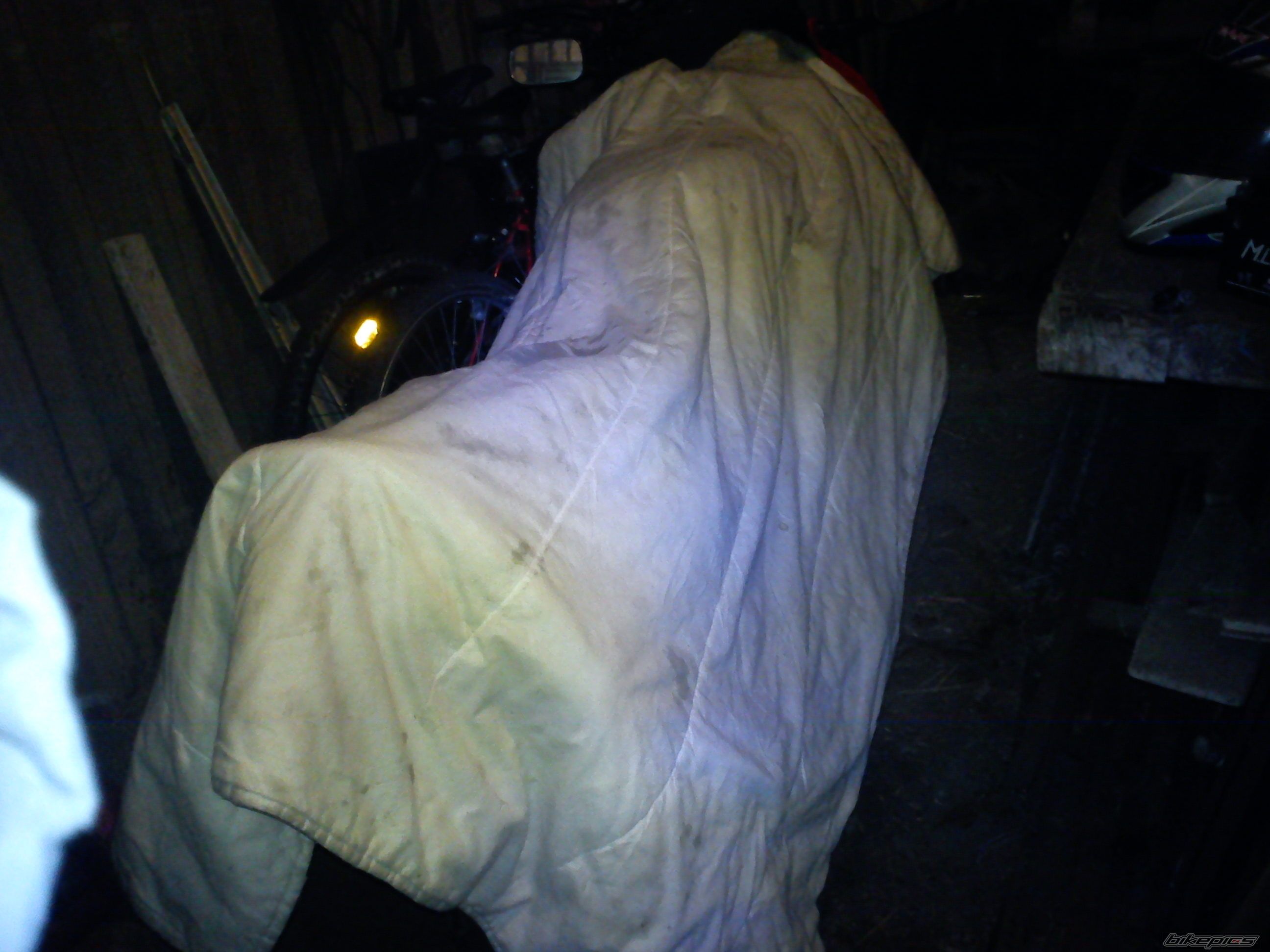 Photo 2319234