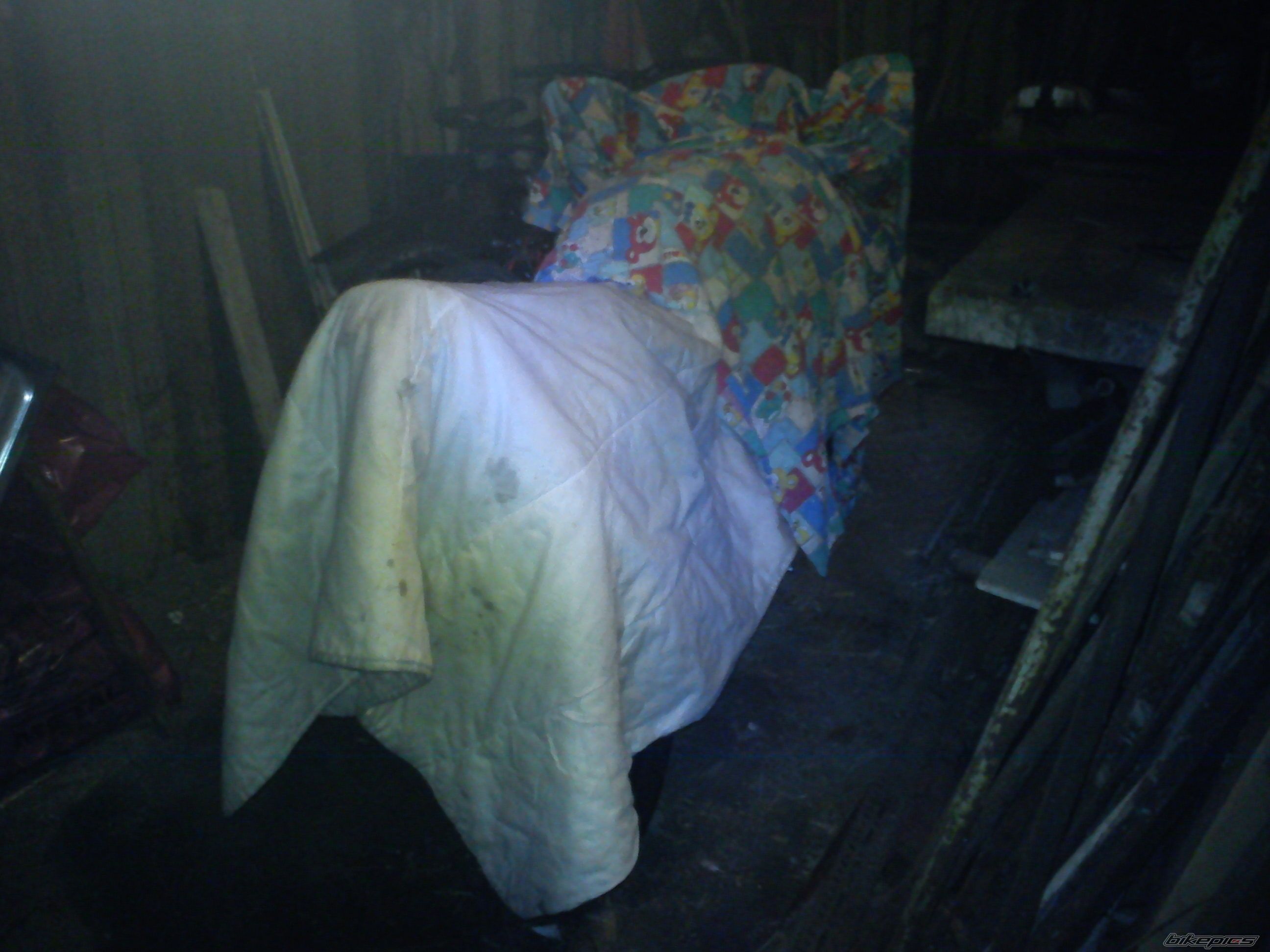 Photo 2319236