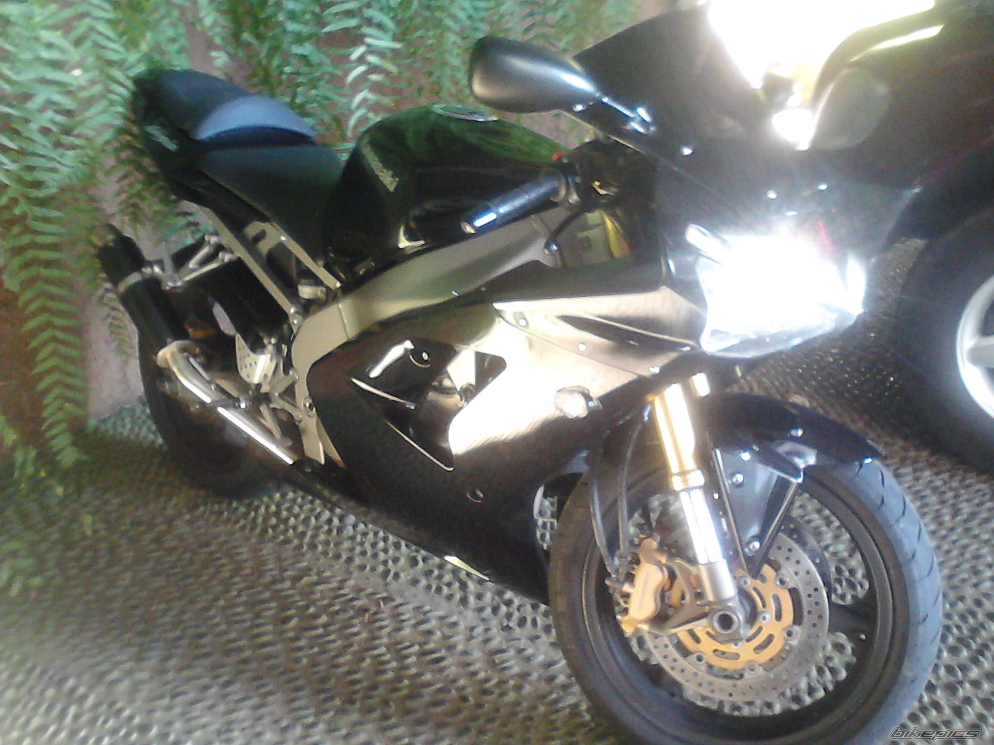 Bike Photo 2319346