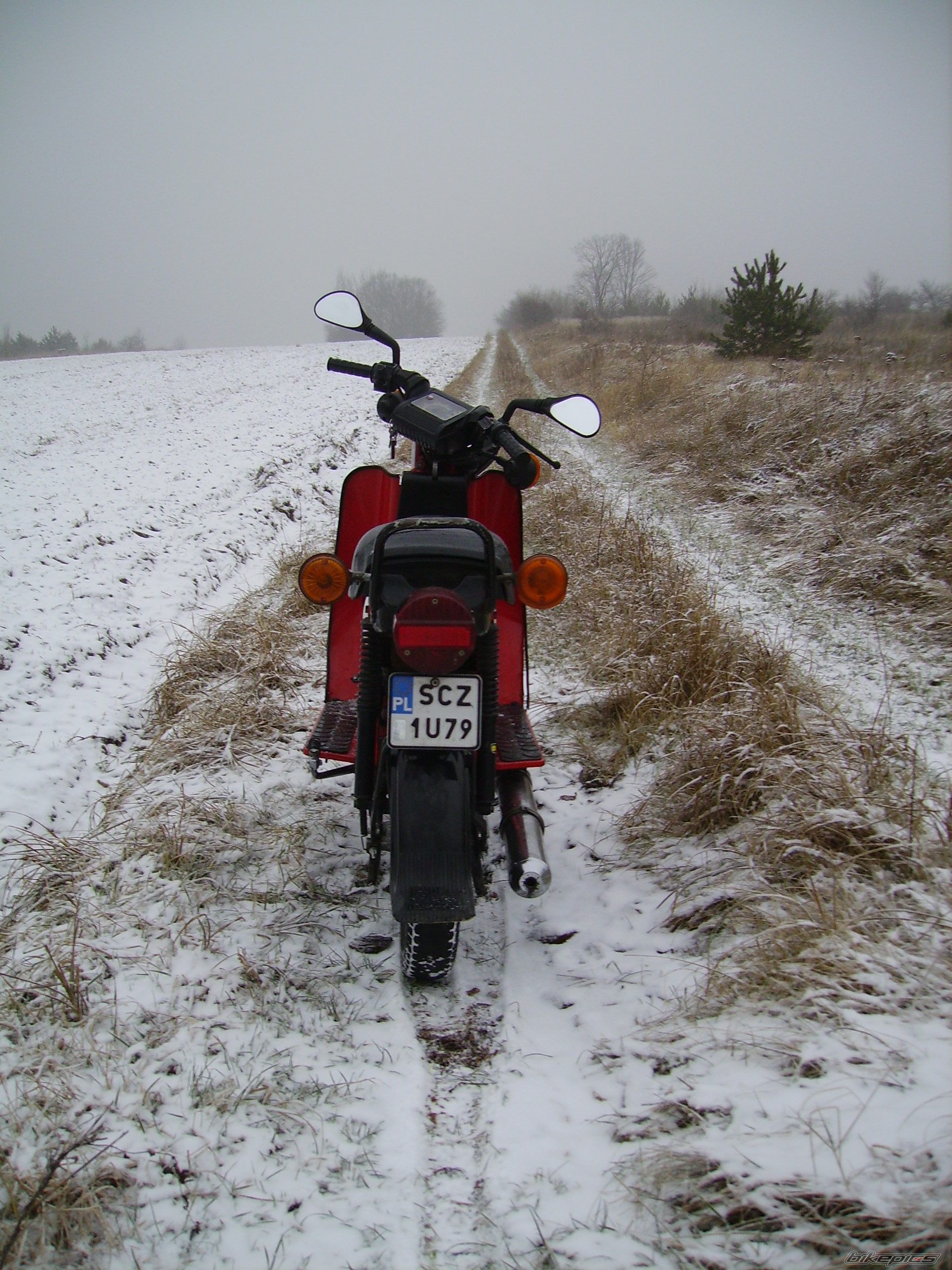 Photo 2319459