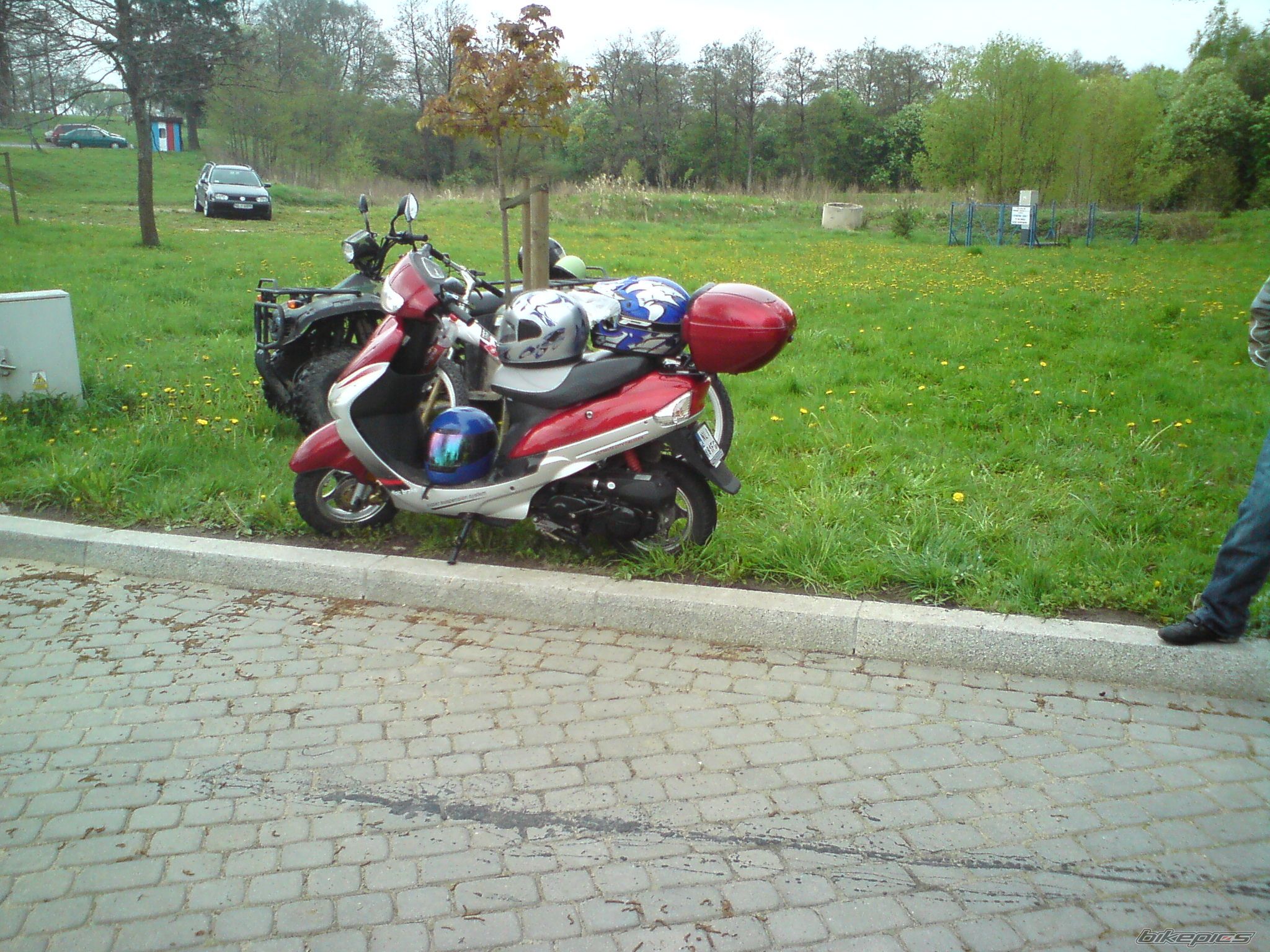 Photo 2319601