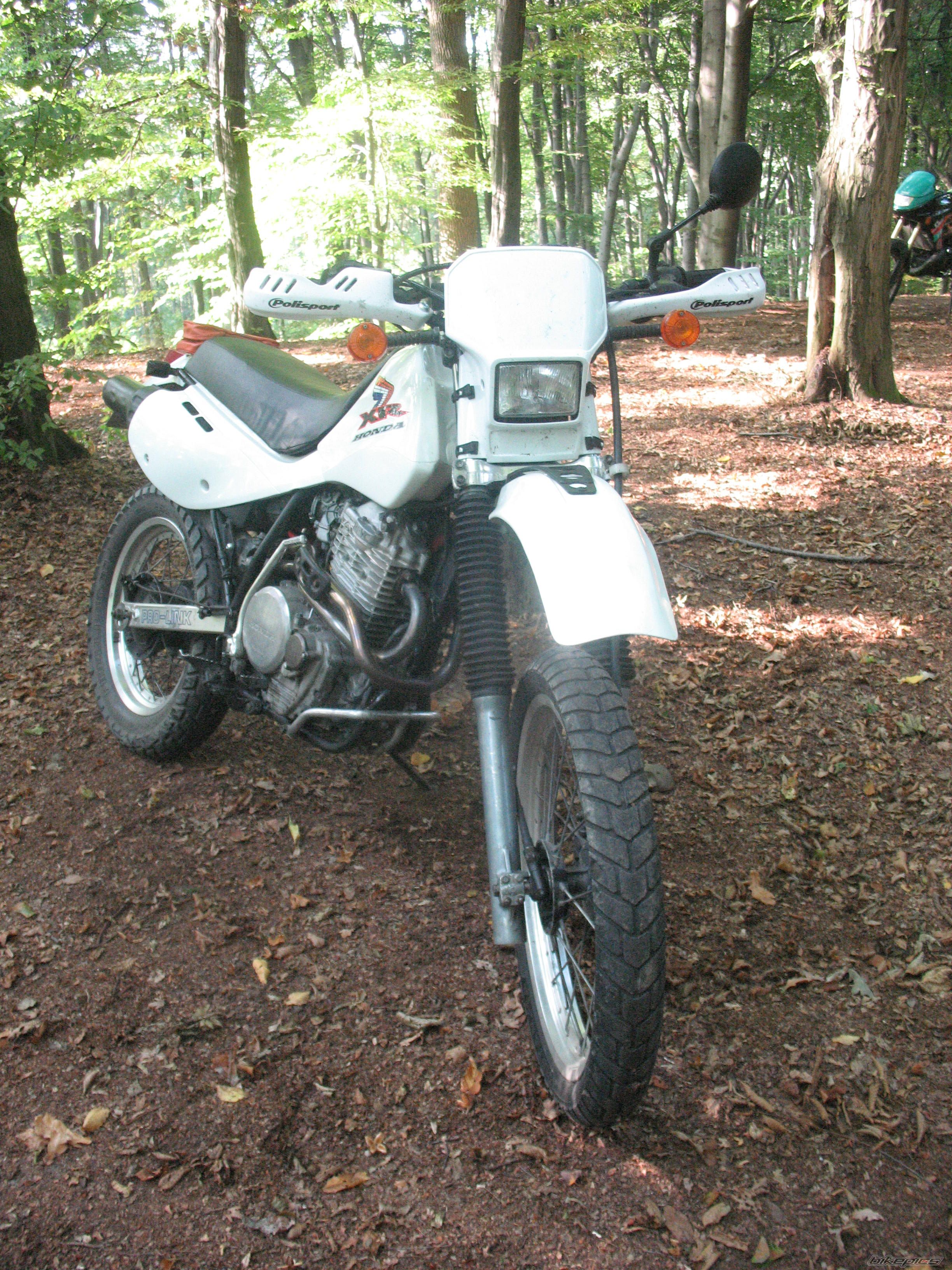 Photo 2319692