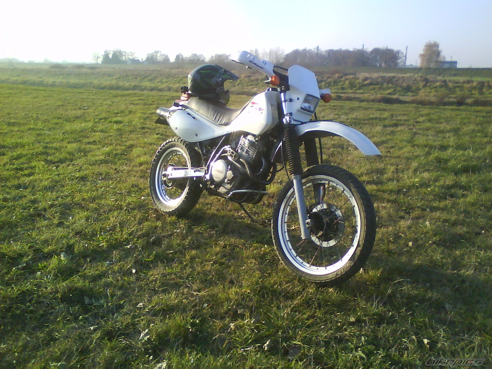 Photo 2319699