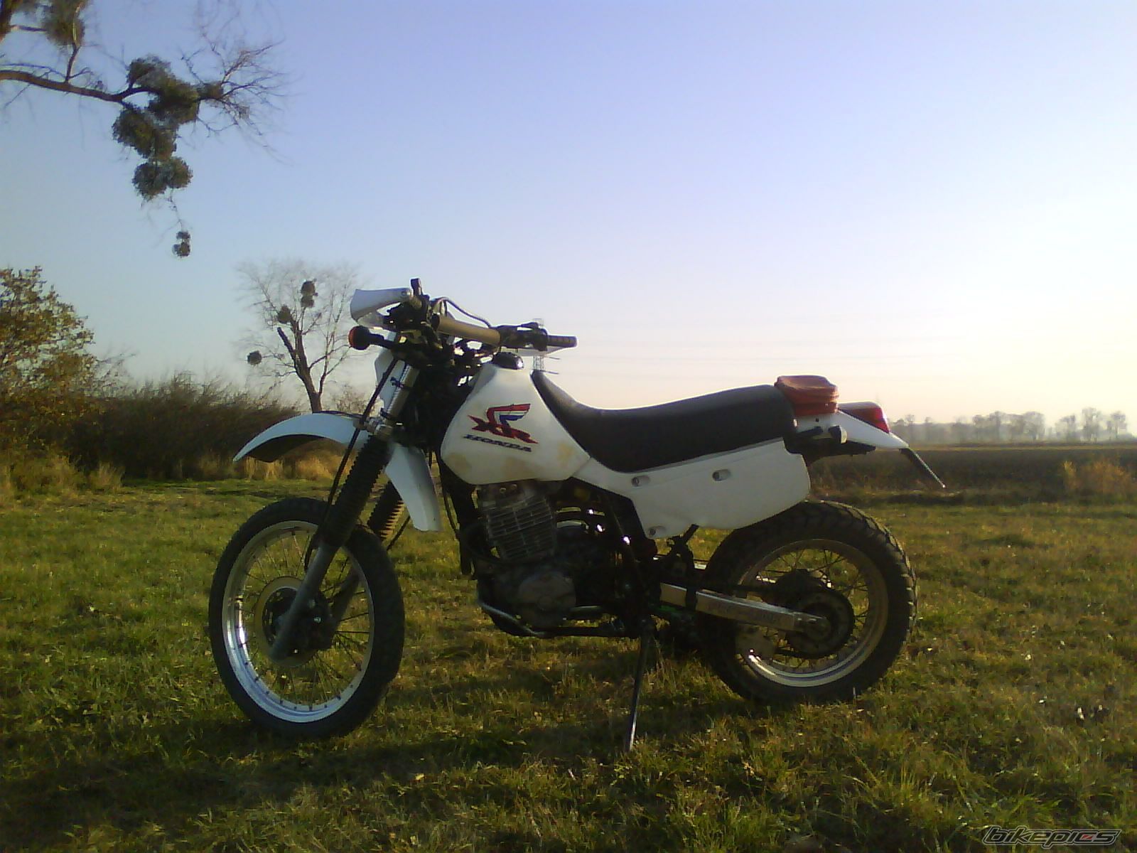 Photo 2319703
