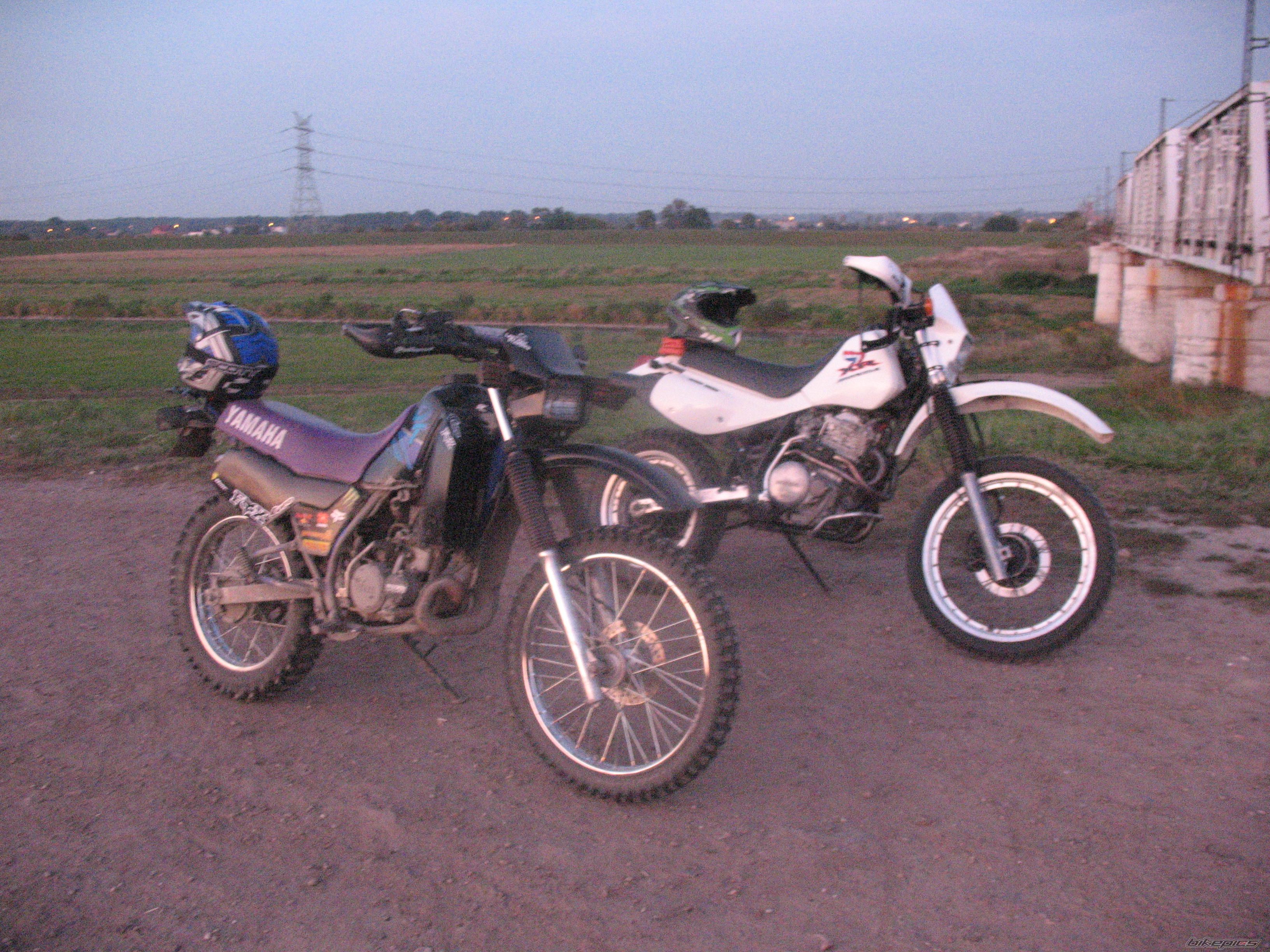 Photo 2319708