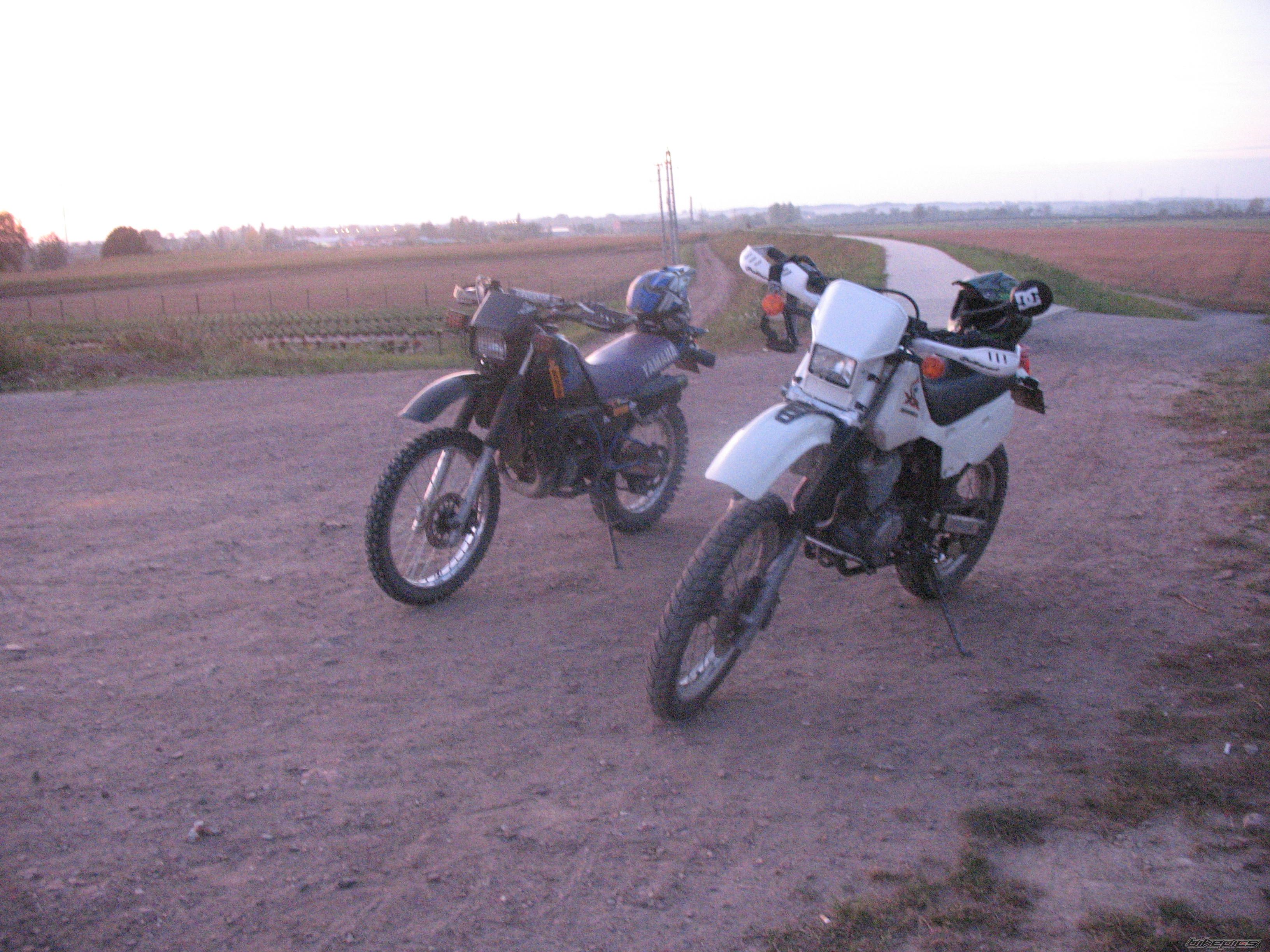 Photo 2319709