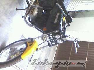 Photo 2319765