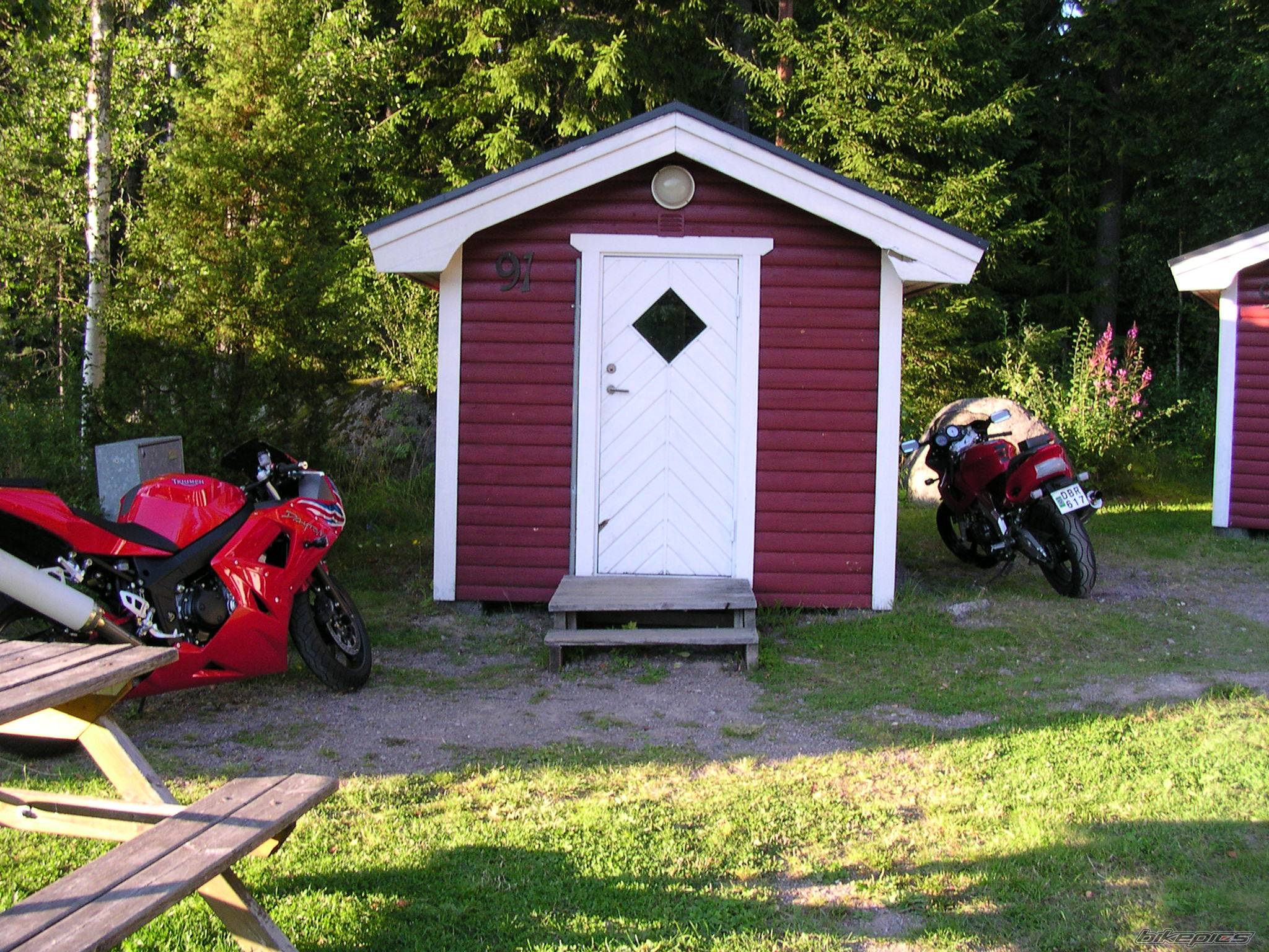 Photo 231982