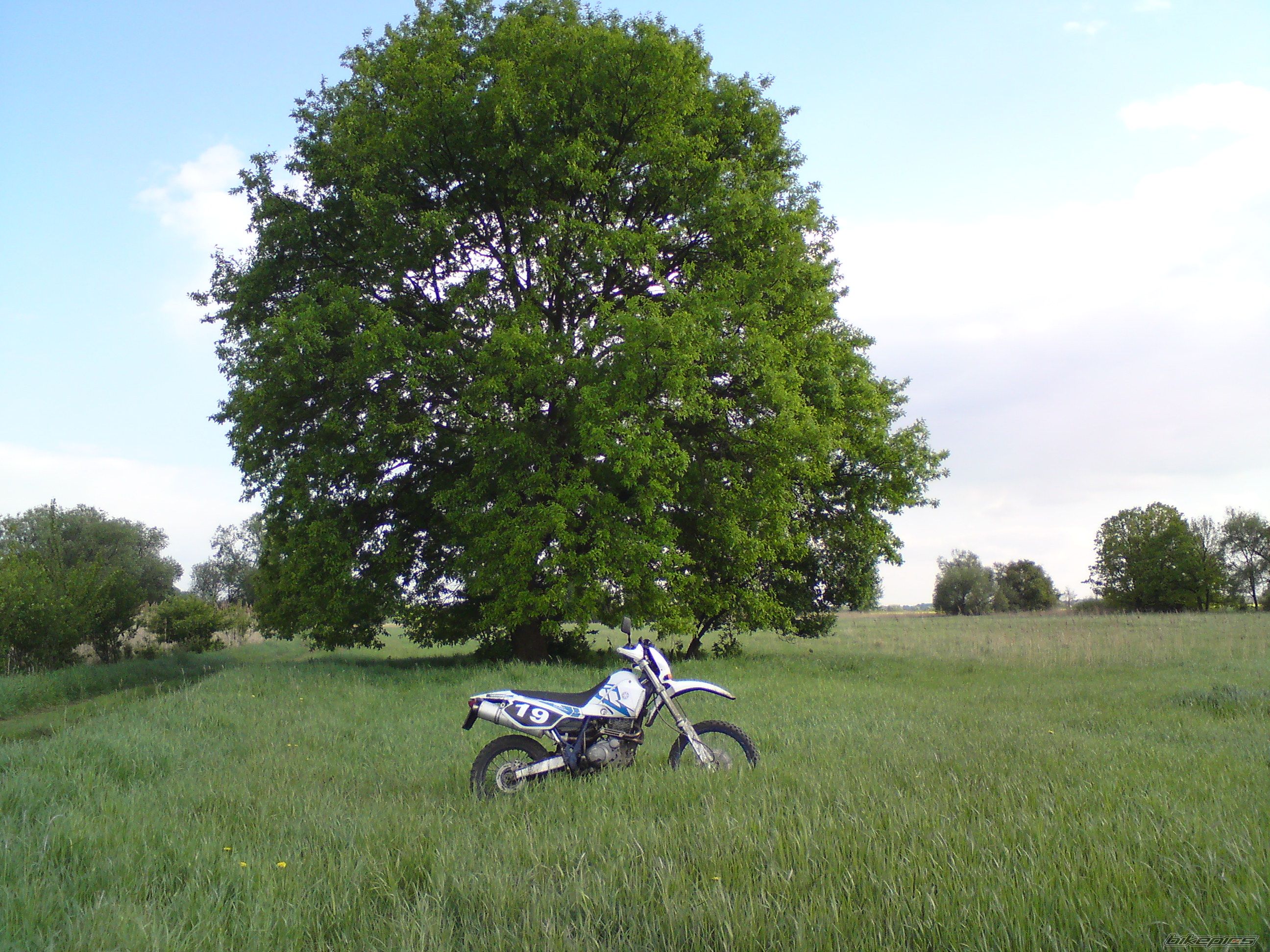 Photo 2319827