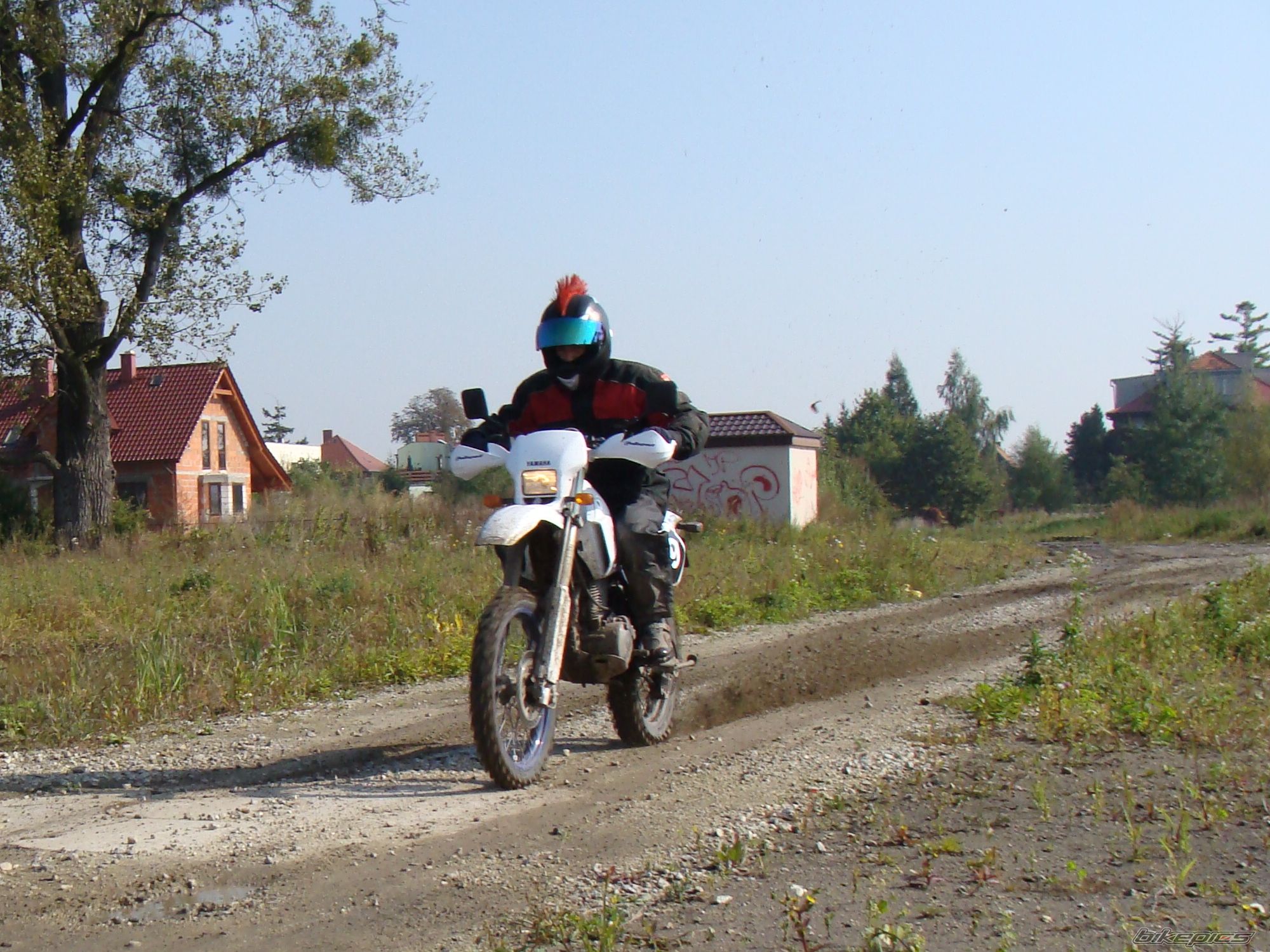 Photo 2319838