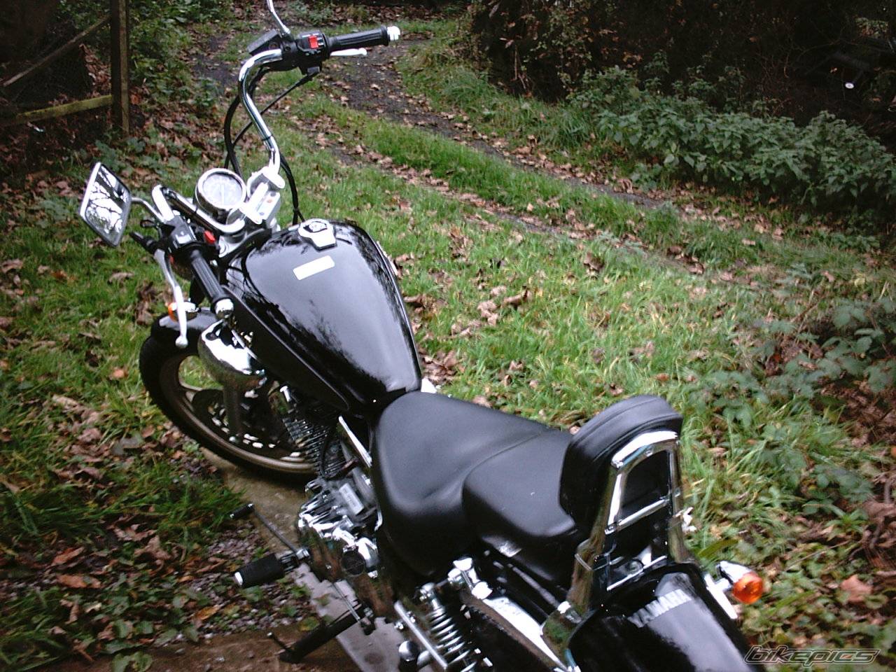 Photo 231992