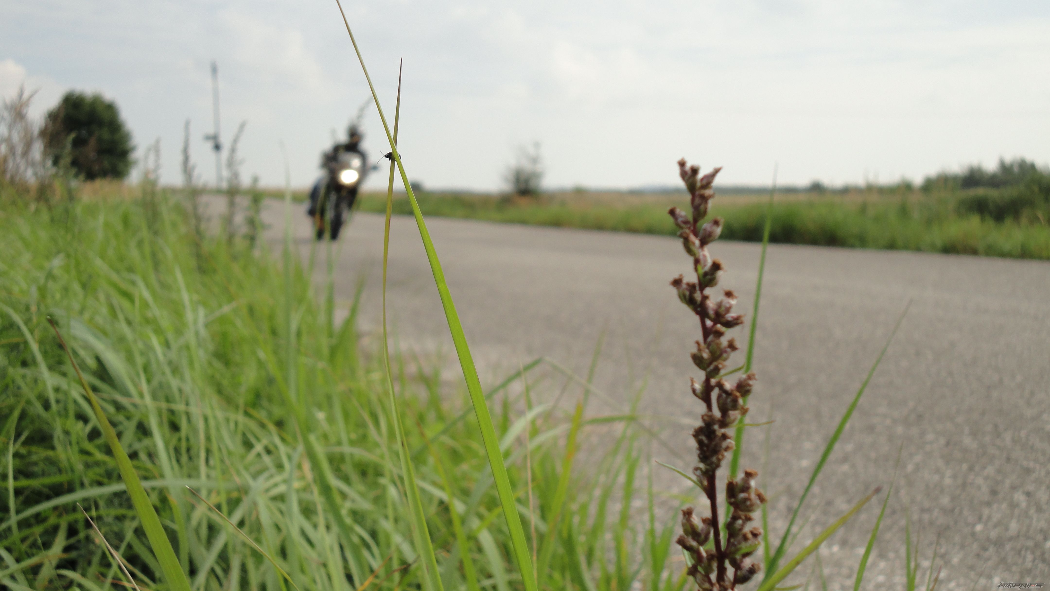 Bike Photo 2319920