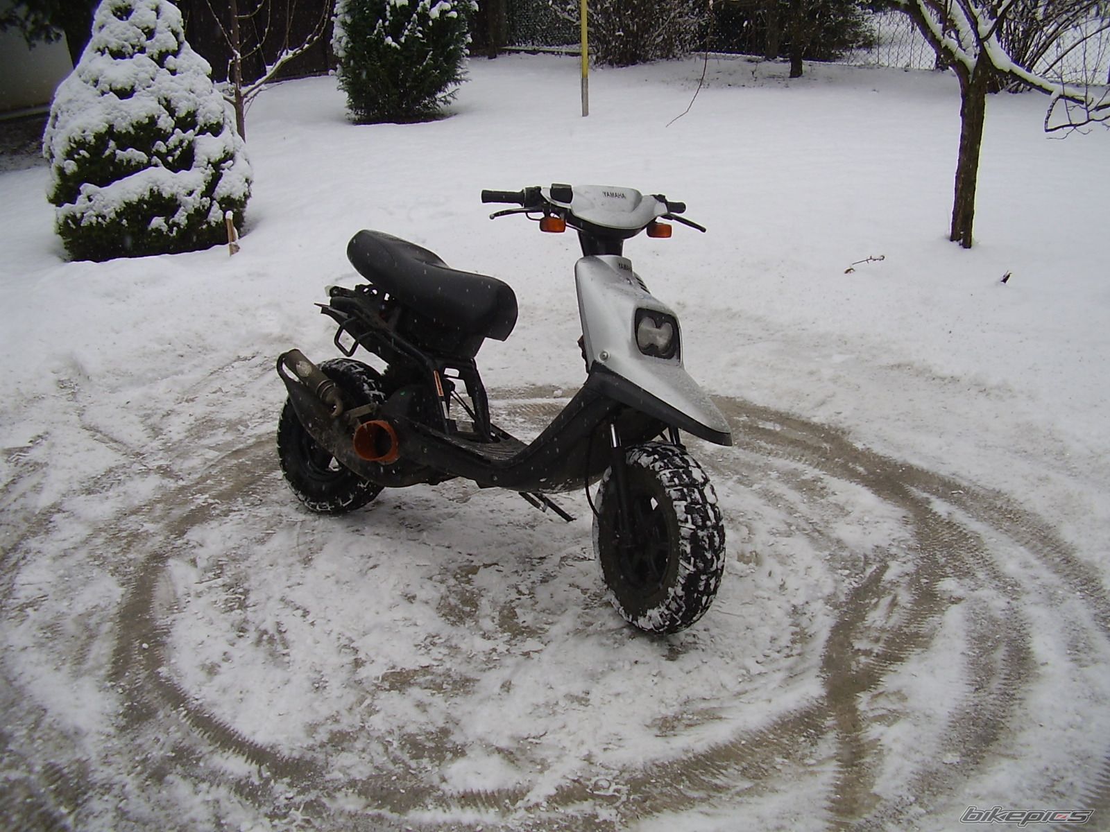 Photo 2320344