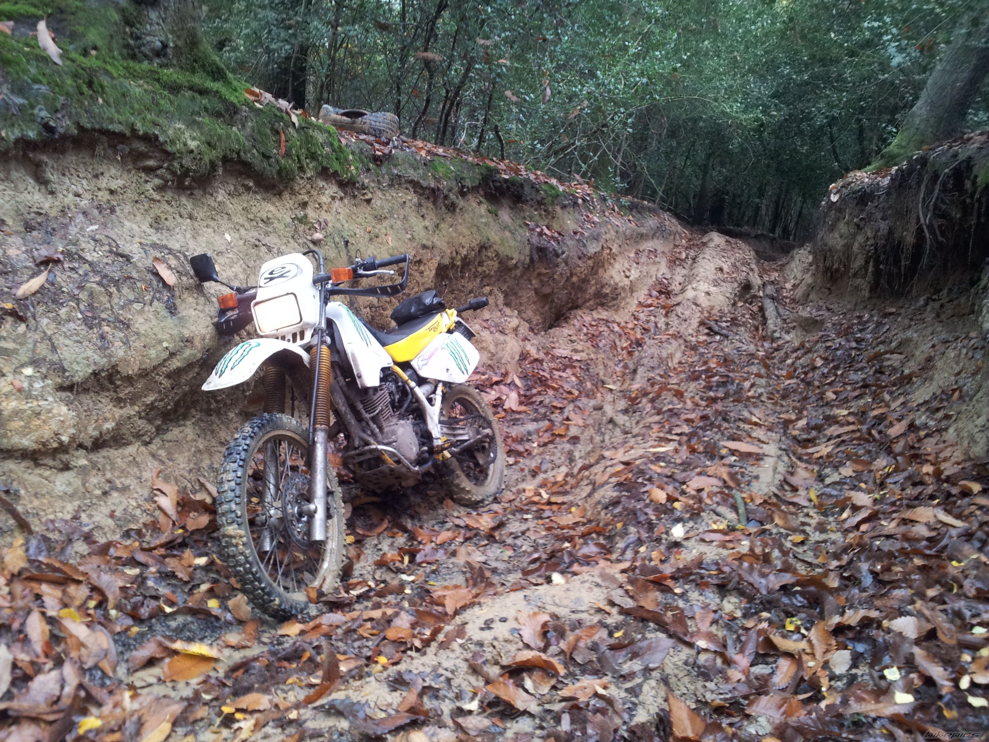 Bike Photo 2320410