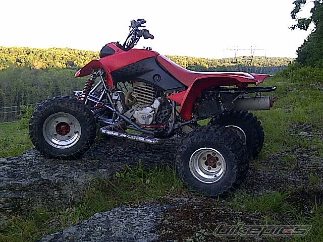 Photo 2320499