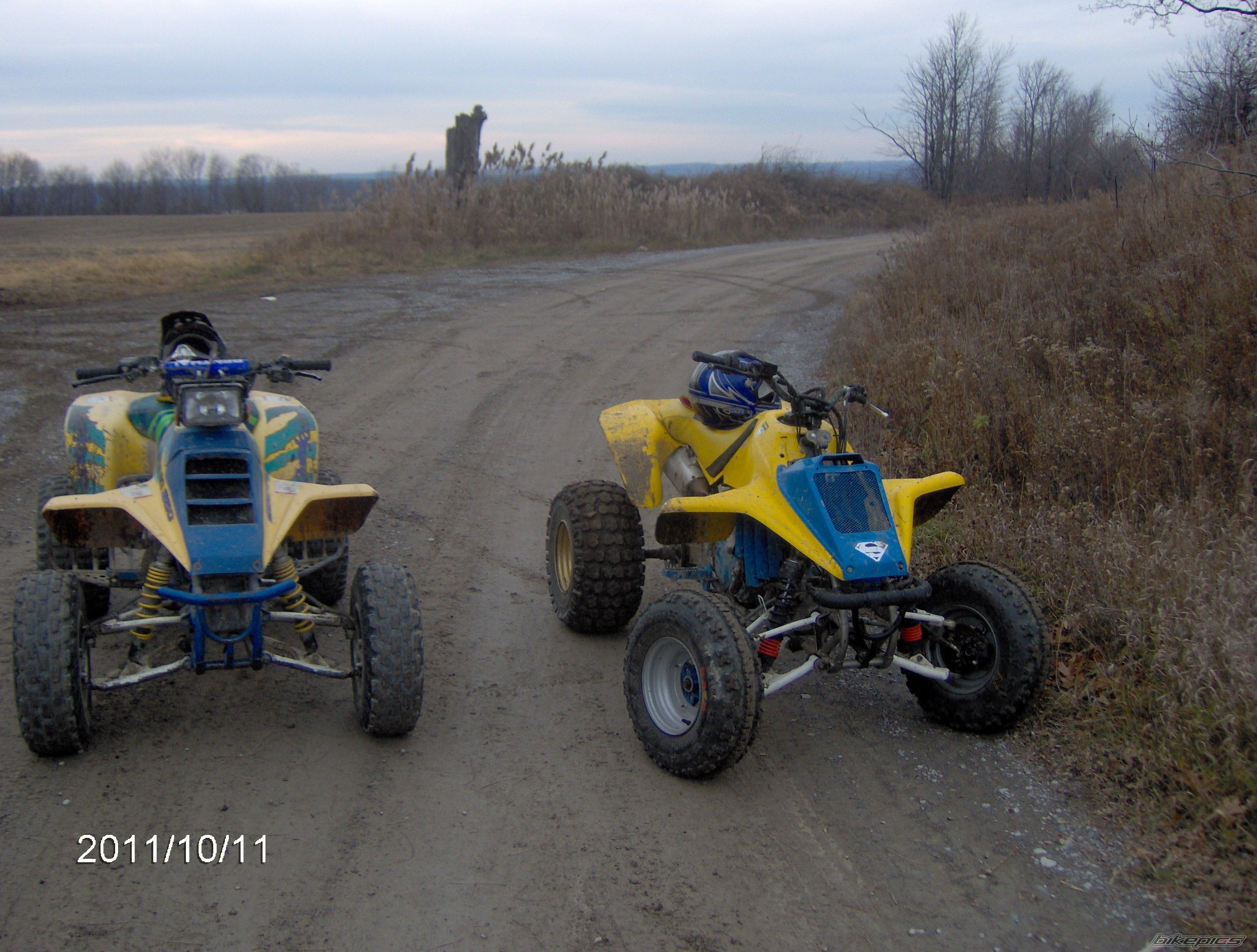 Photo 2320613