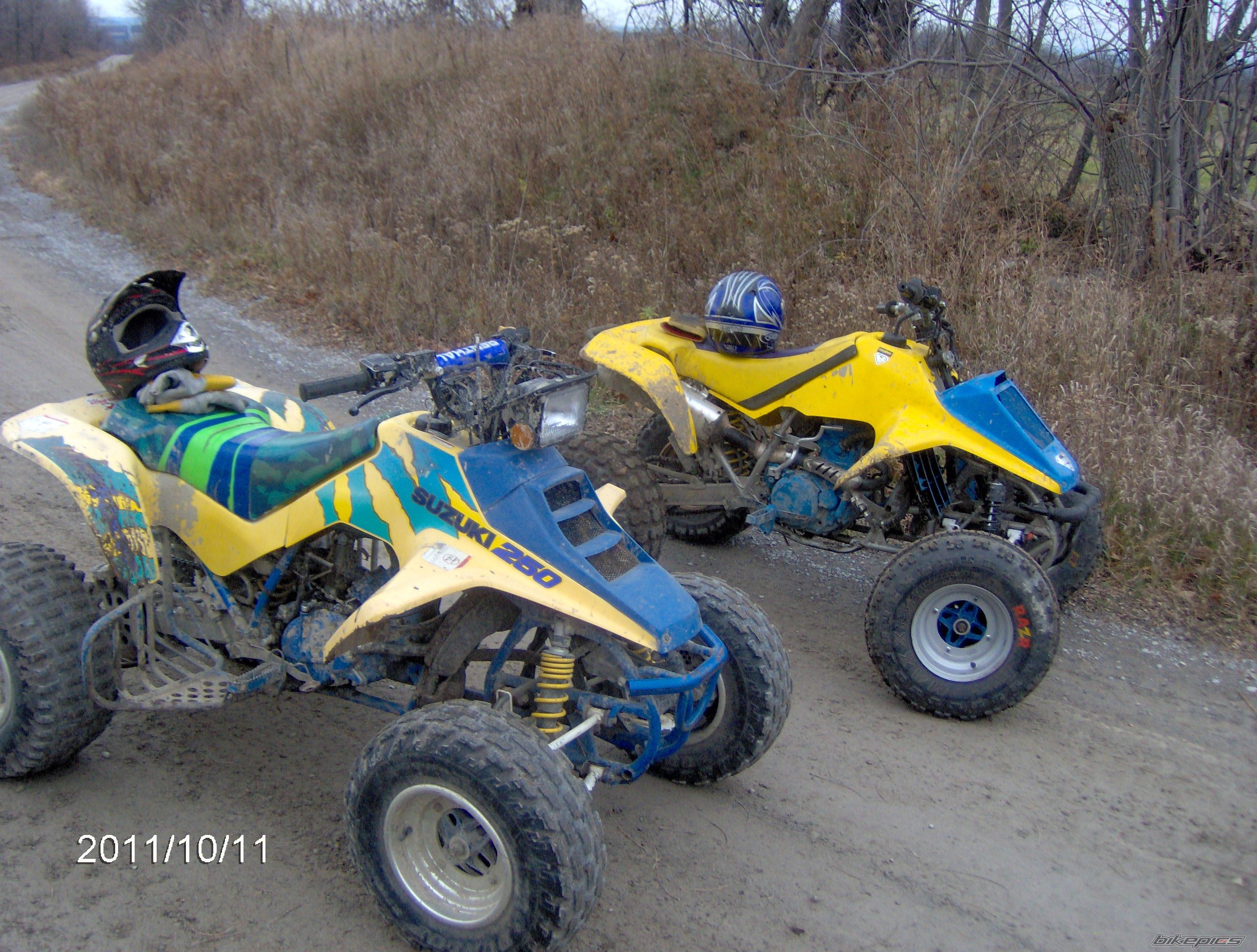 Photo 2320616