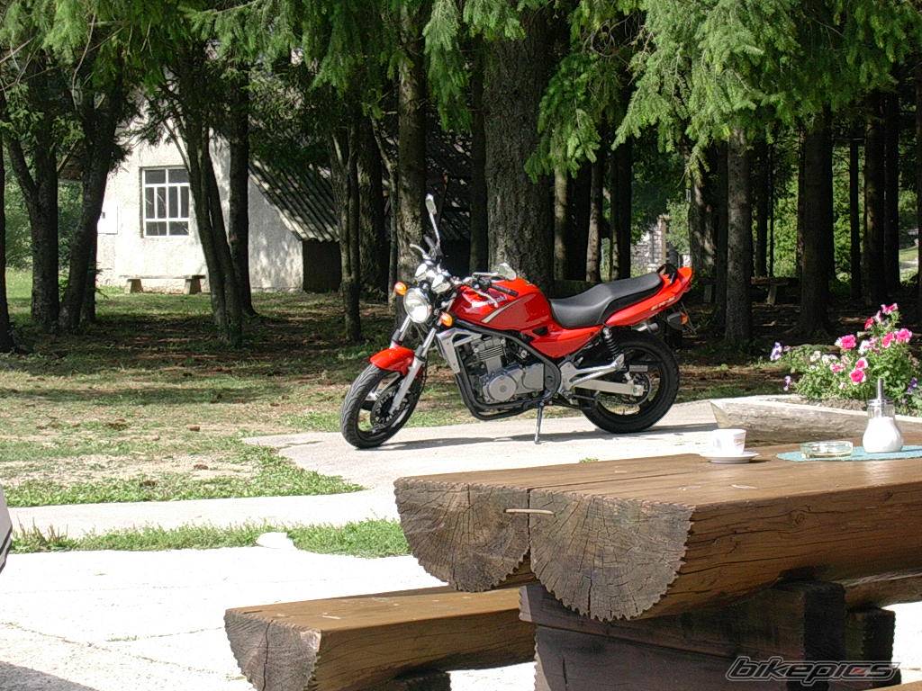 Bike Photo 232071