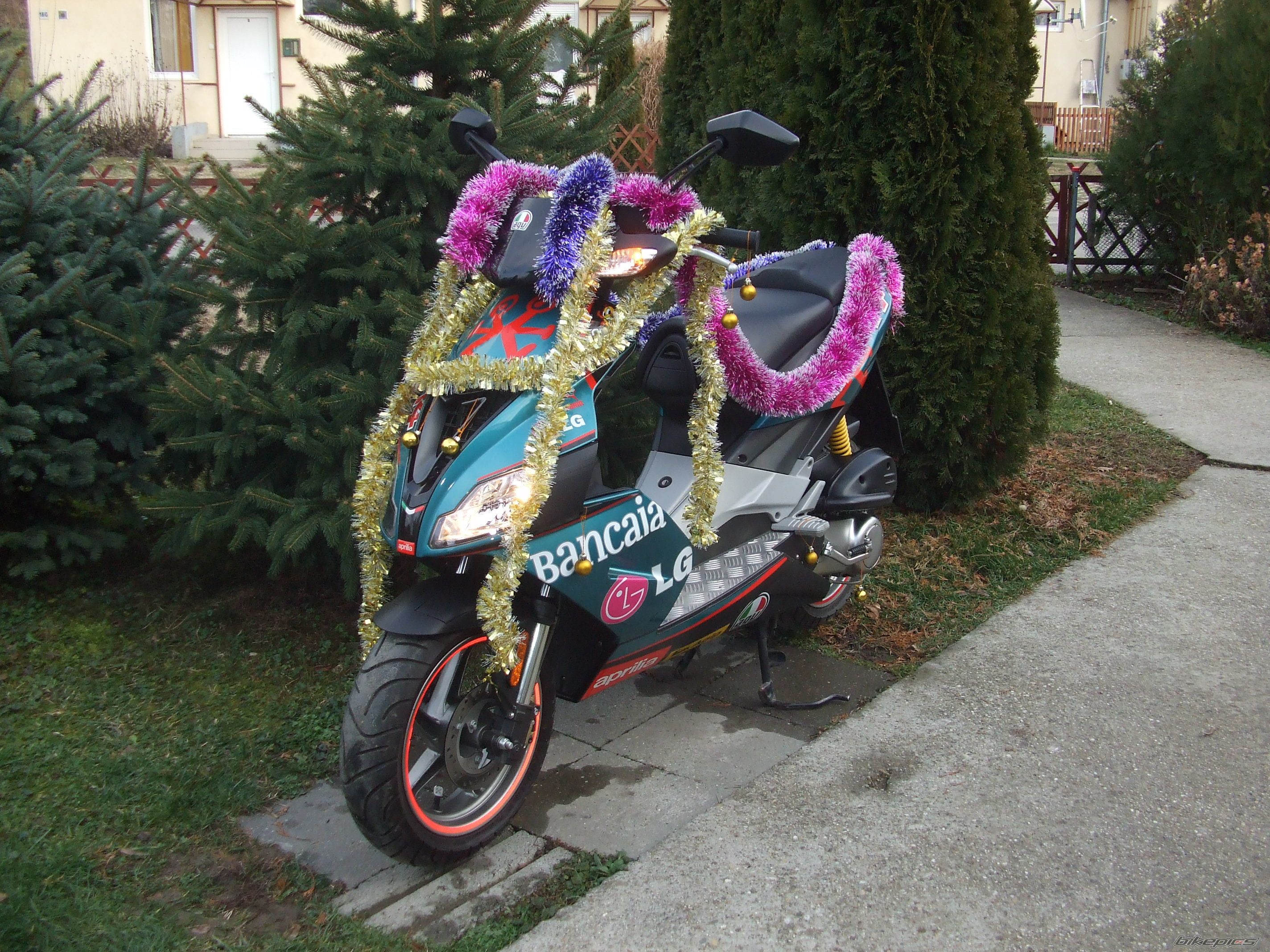 Photo 2320781