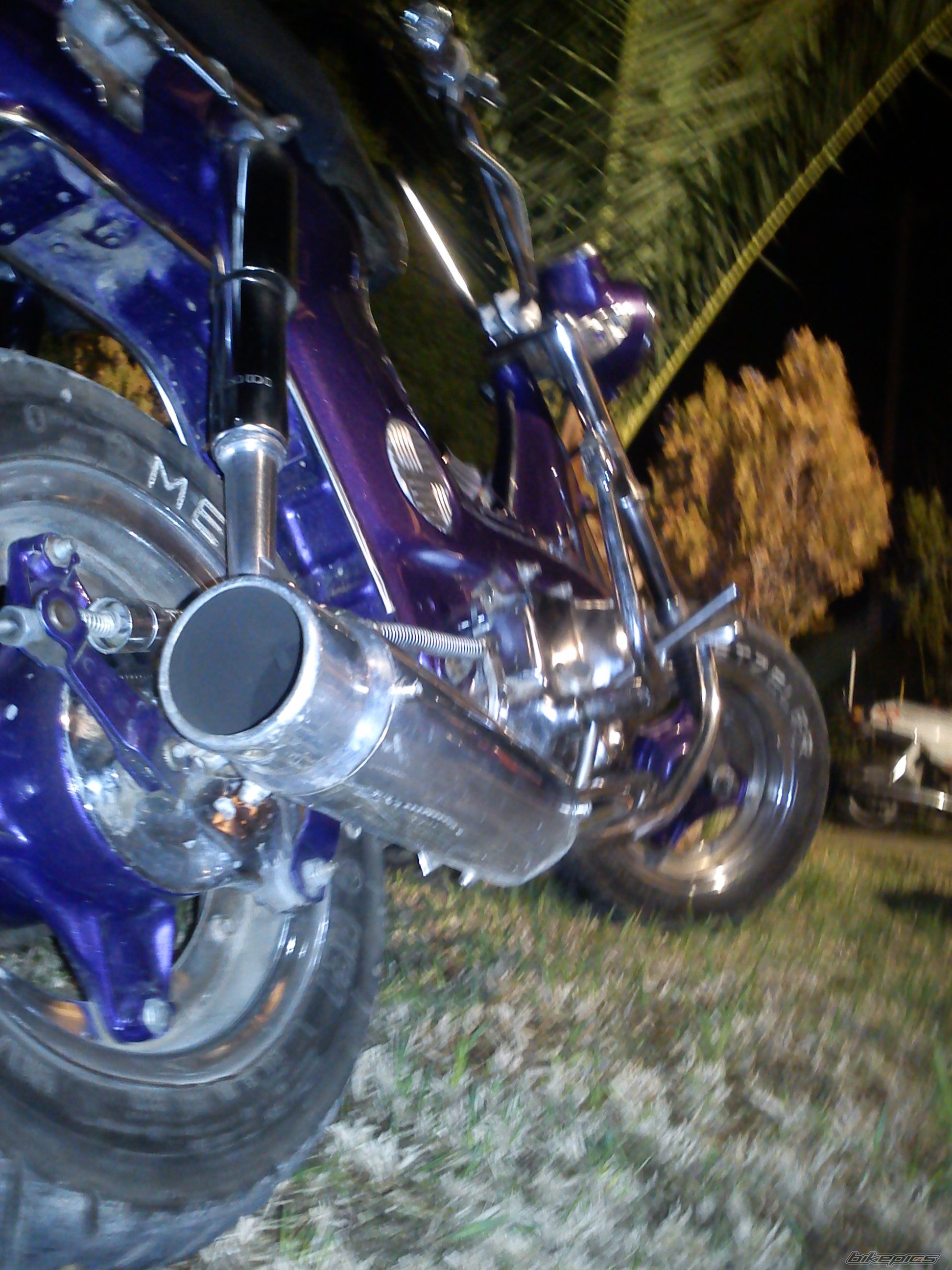 Photo 2320797