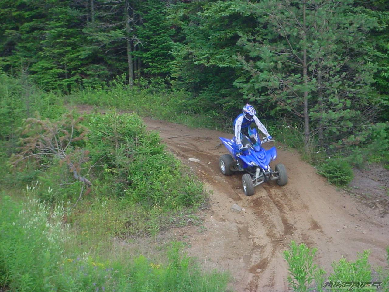 Bike Photo 232087