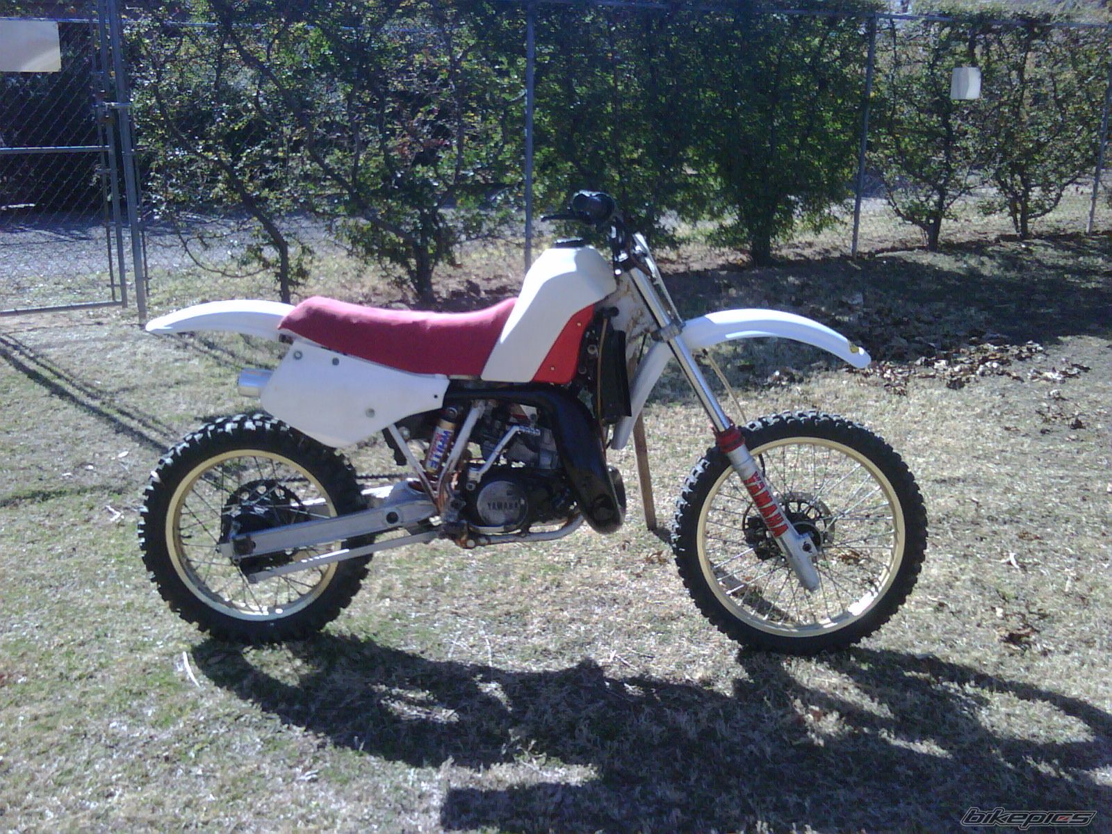 Photo 2320924