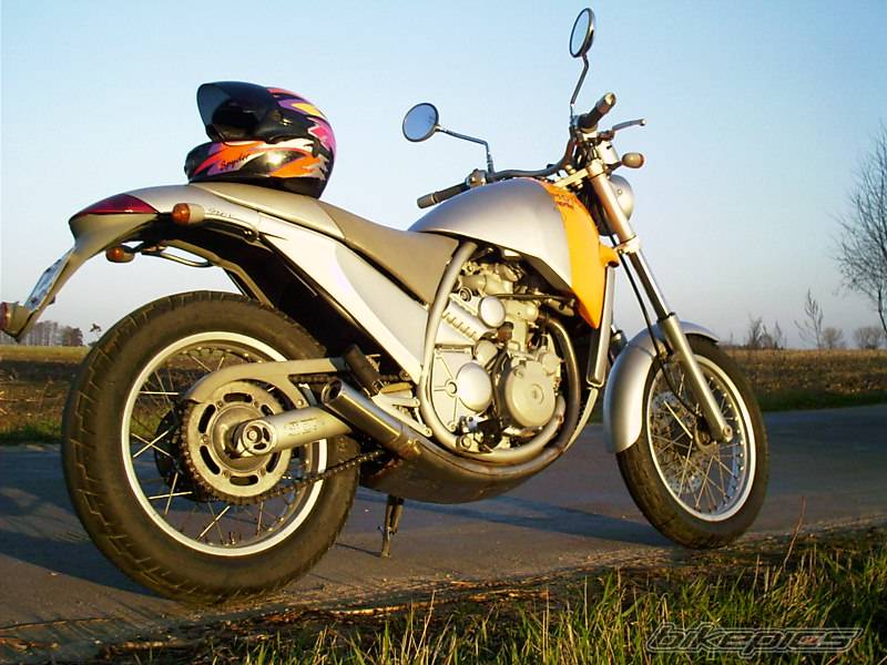 Photo 23210