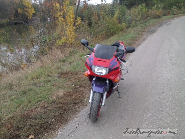 Photo 2321020