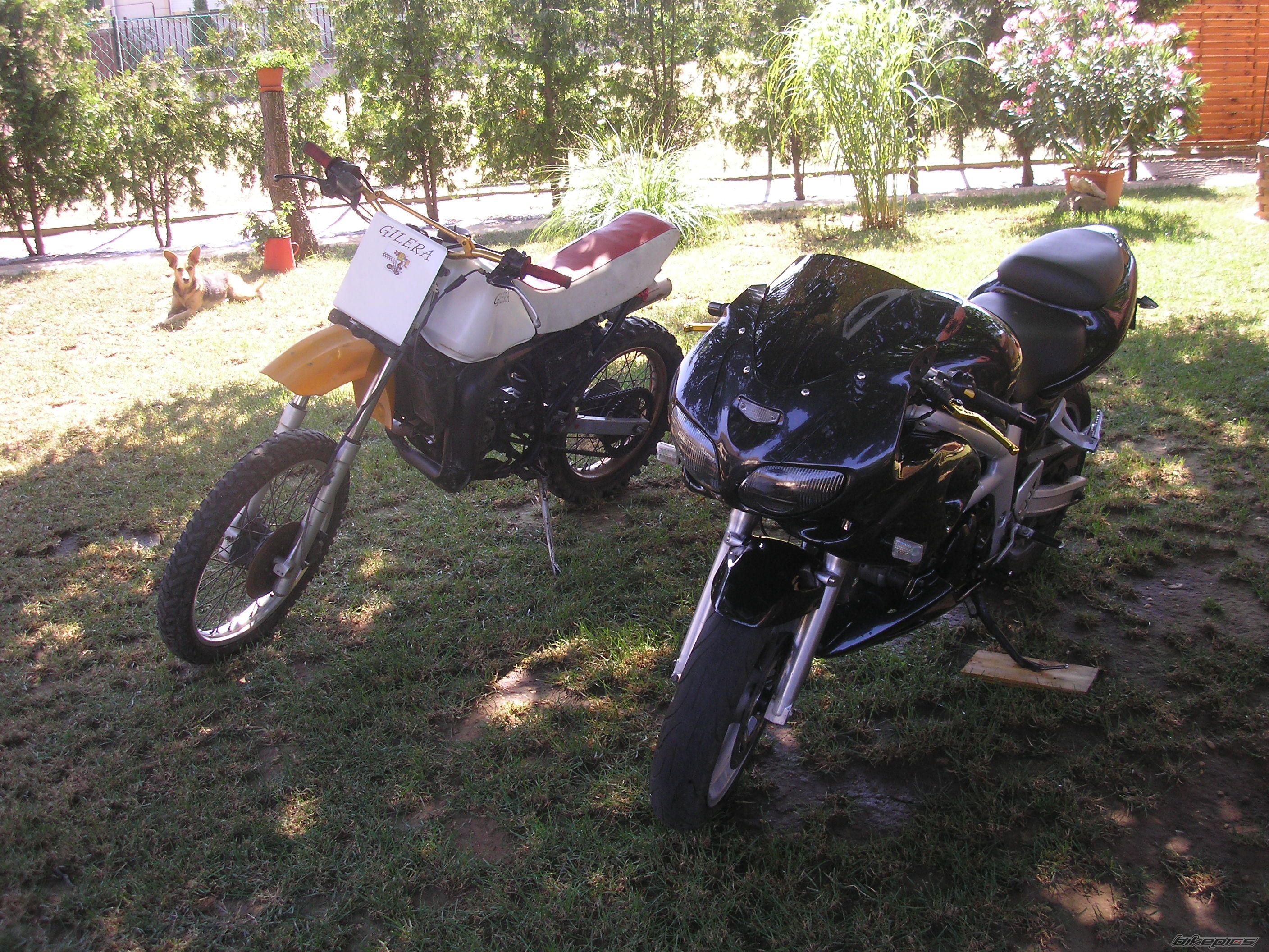 Photo 2321023
