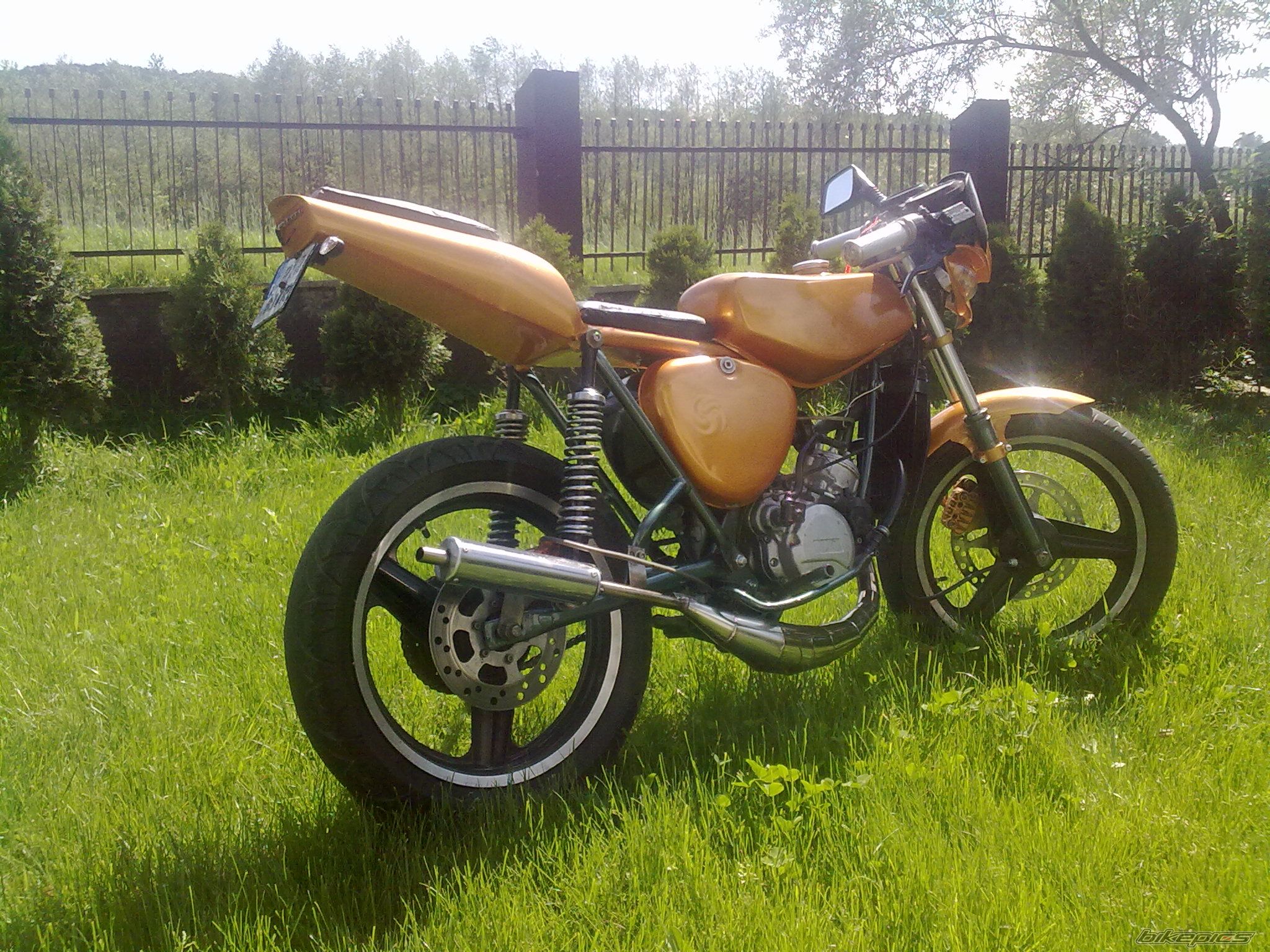 Photo 2321144