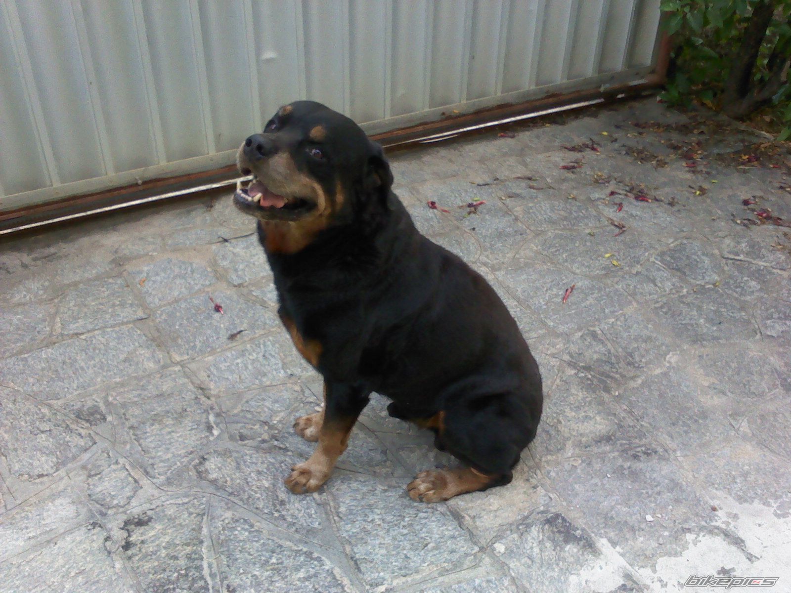 Photo 2321222